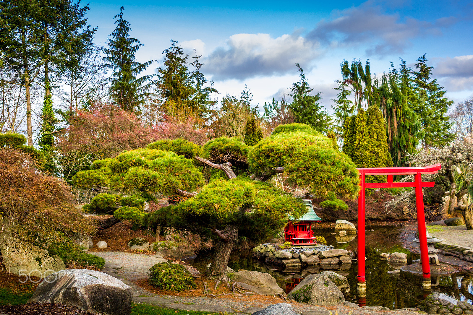 Canon EF-S 24mm F2.8 STM sample photo. Japanese garden photography