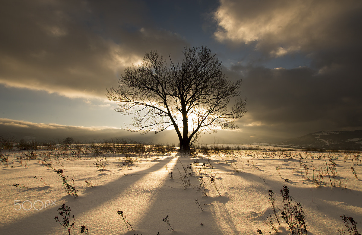 Nikon D3200 + Sigma 10-20mm F3.5 EX DC HSM sample photo. Golden hour. photography