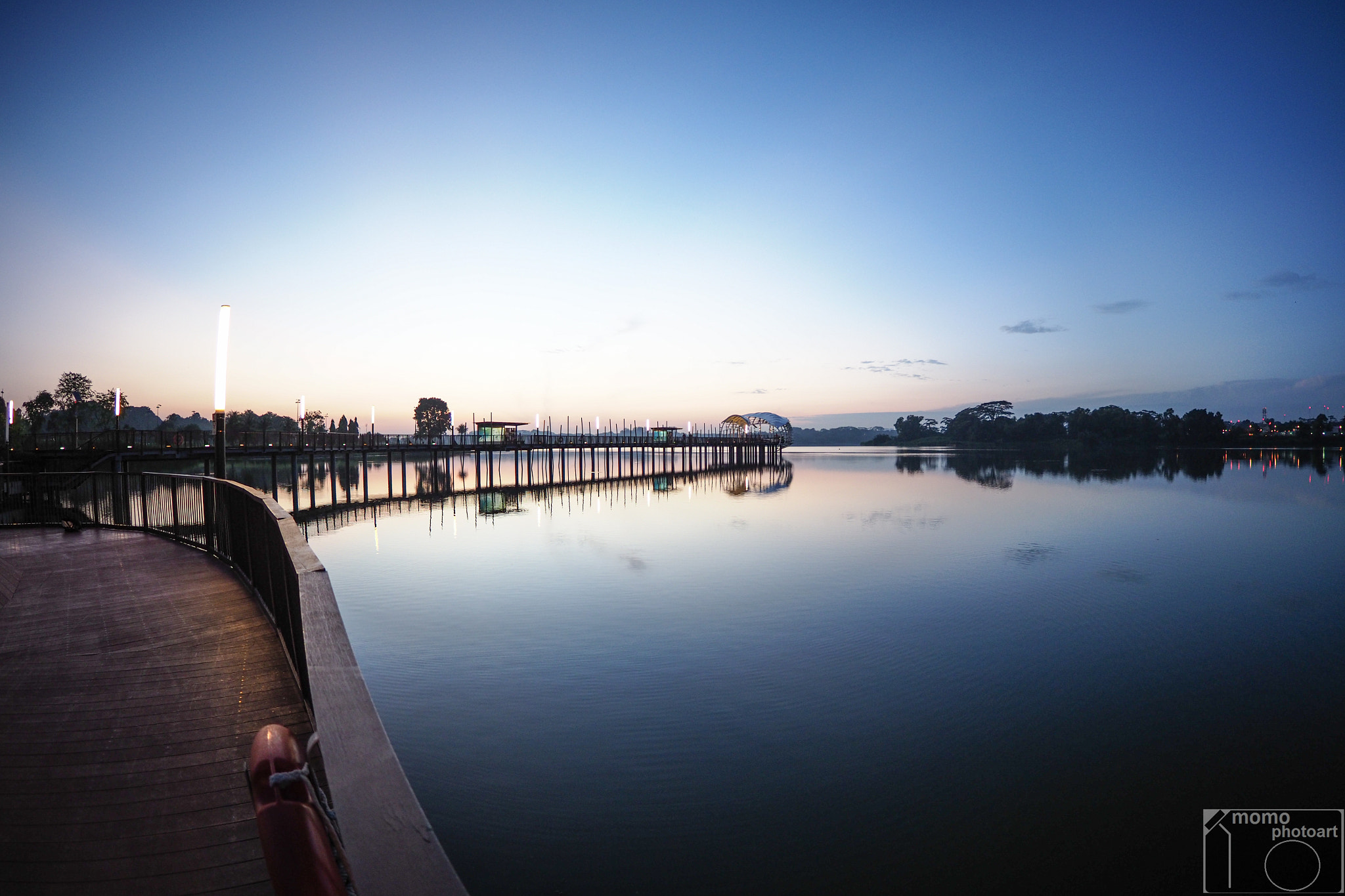 Olympus OM-D E-M1 Mark II + OLYMPUS M.8mm F1.8 sample photo. Morning in the park photography