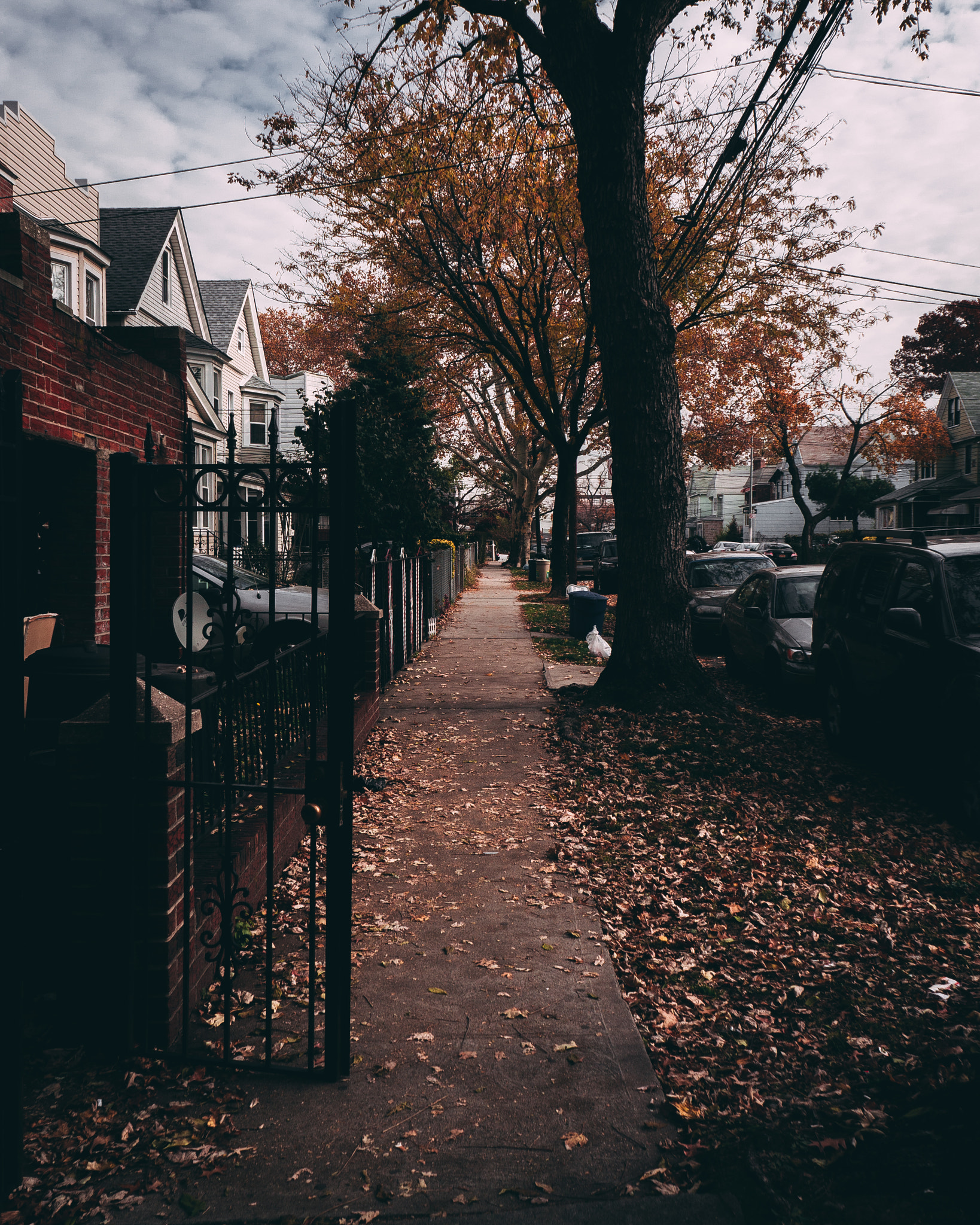 Sony Alpha NEX-5R sample photo. Just another lone street in autumn photography
