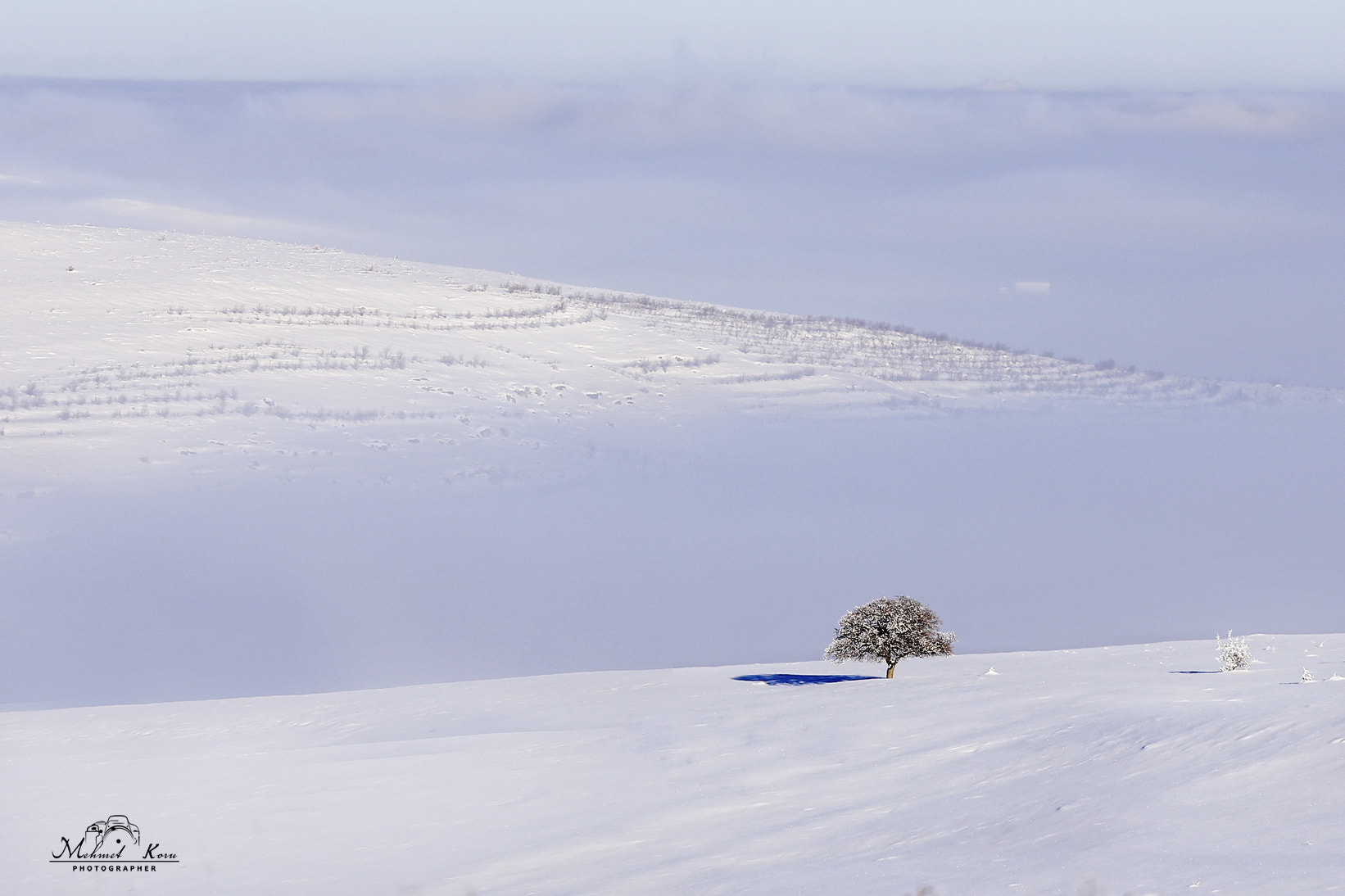 Canon EOS 6D + Canon EF 80-200mm f/2.8L sample photo. Alone in the cold photography