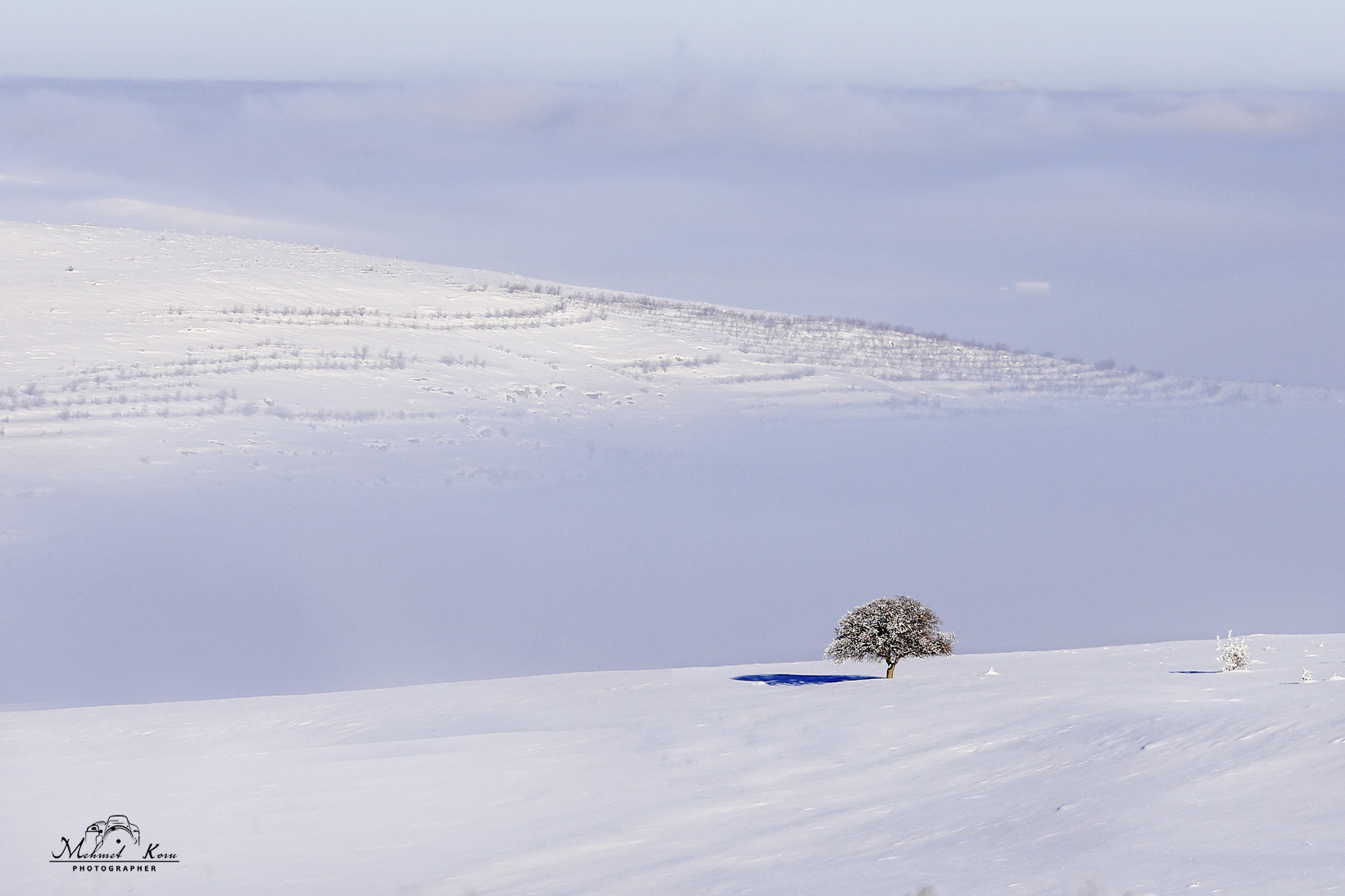 Canon EF 80-200mm f/2.8L sample photo. Alone in the cold photography