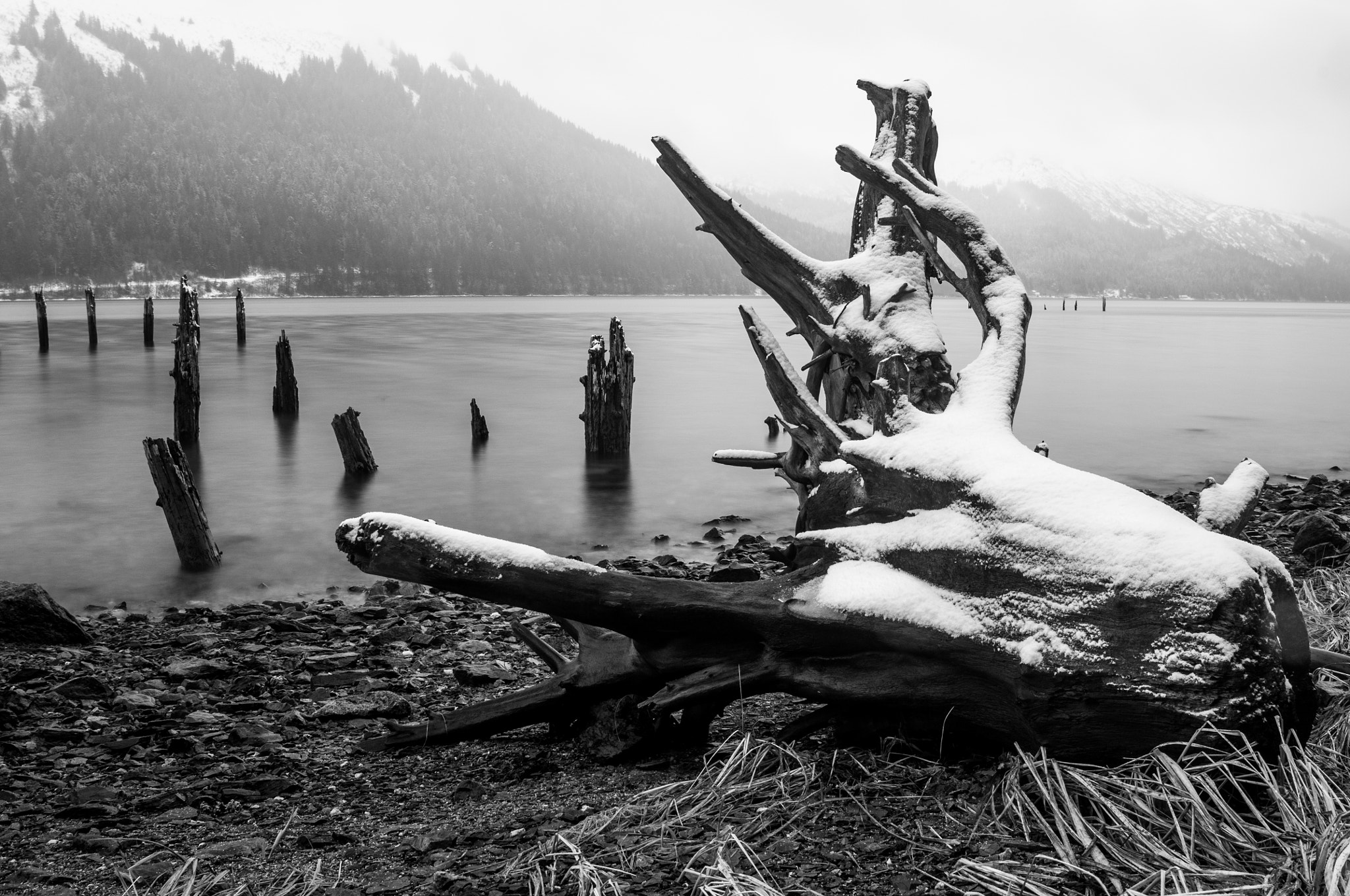 Nikon D300S sample photo. Snowy truck, black and white photography