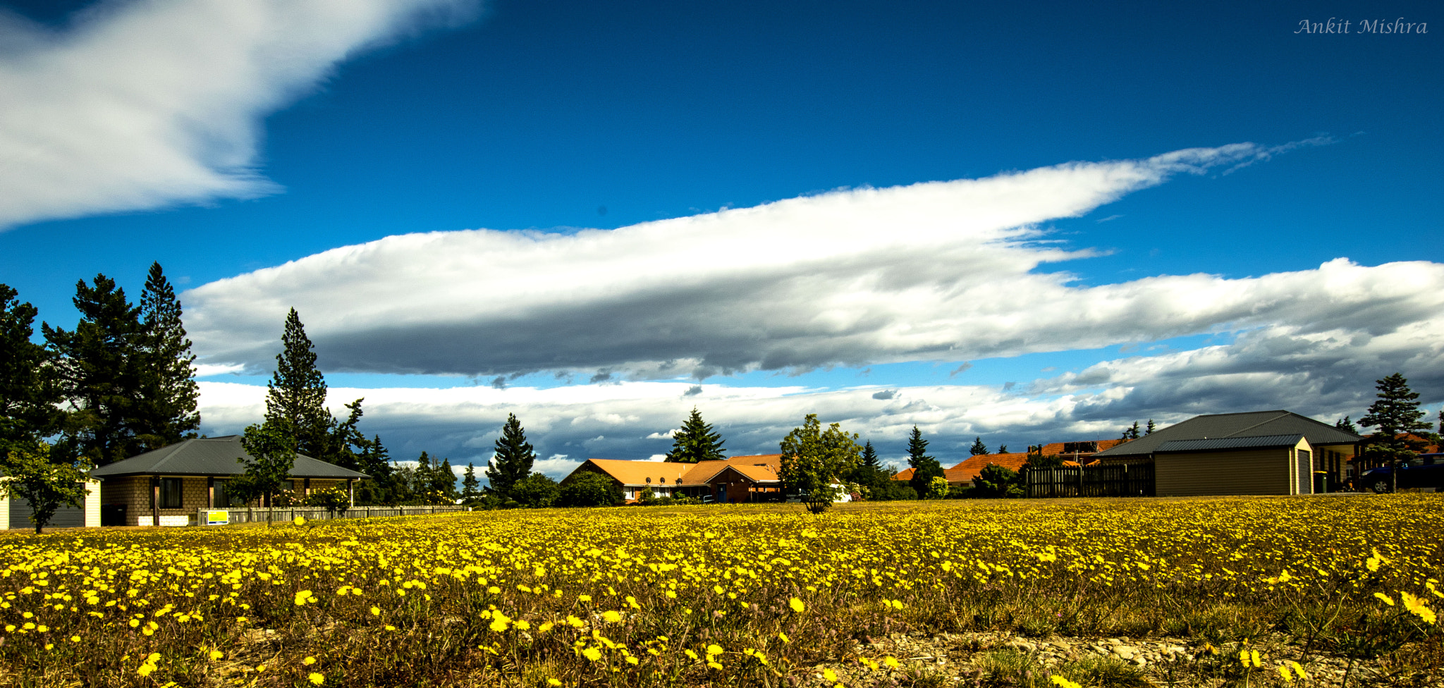 Nikon D5500 + Sigma 10-20mm F3.5 EX DC HSM sample photo. The neighborhood photography