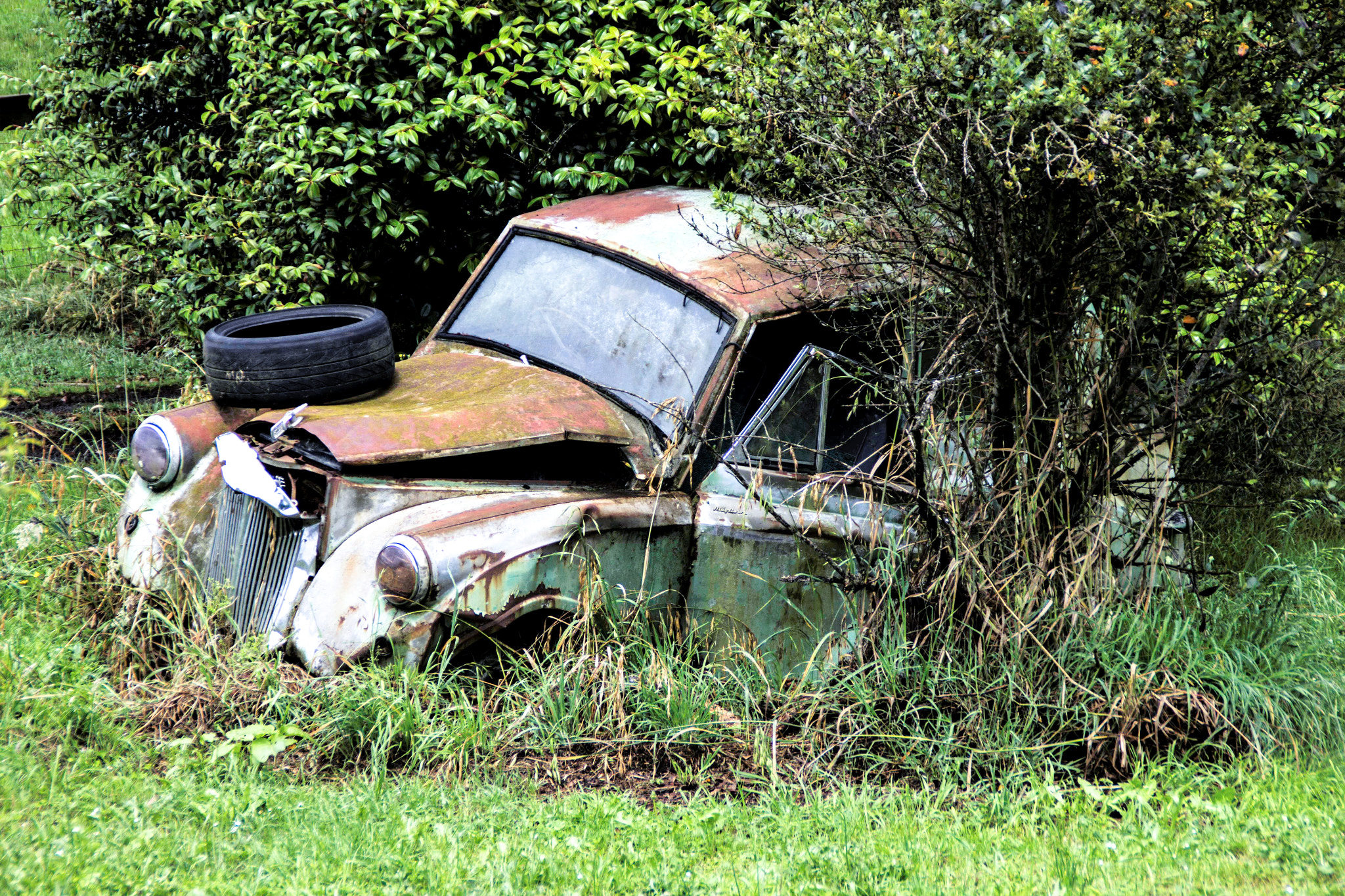 Canon EOS 60D sample photo. Abandon photography