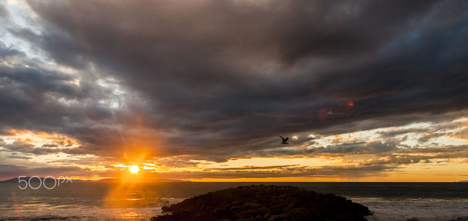 Canon EOS 50D sample photo. Sunset w gull01 photography