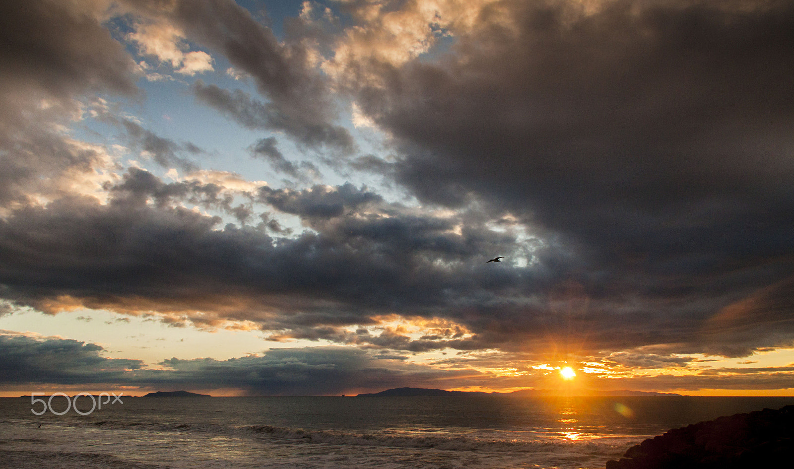 Canon EOS 50D sample photo. Sunset w gull02 photography