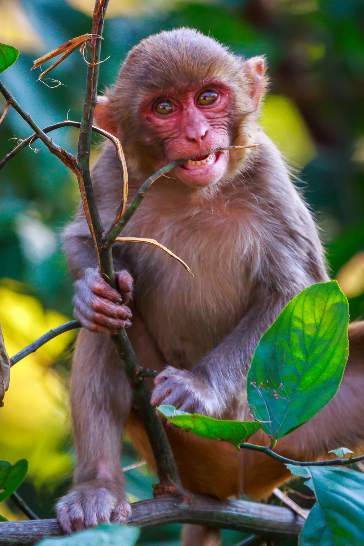 Canon EF 100-400mm F4.5-5.6L IS USM sample photo. () photography