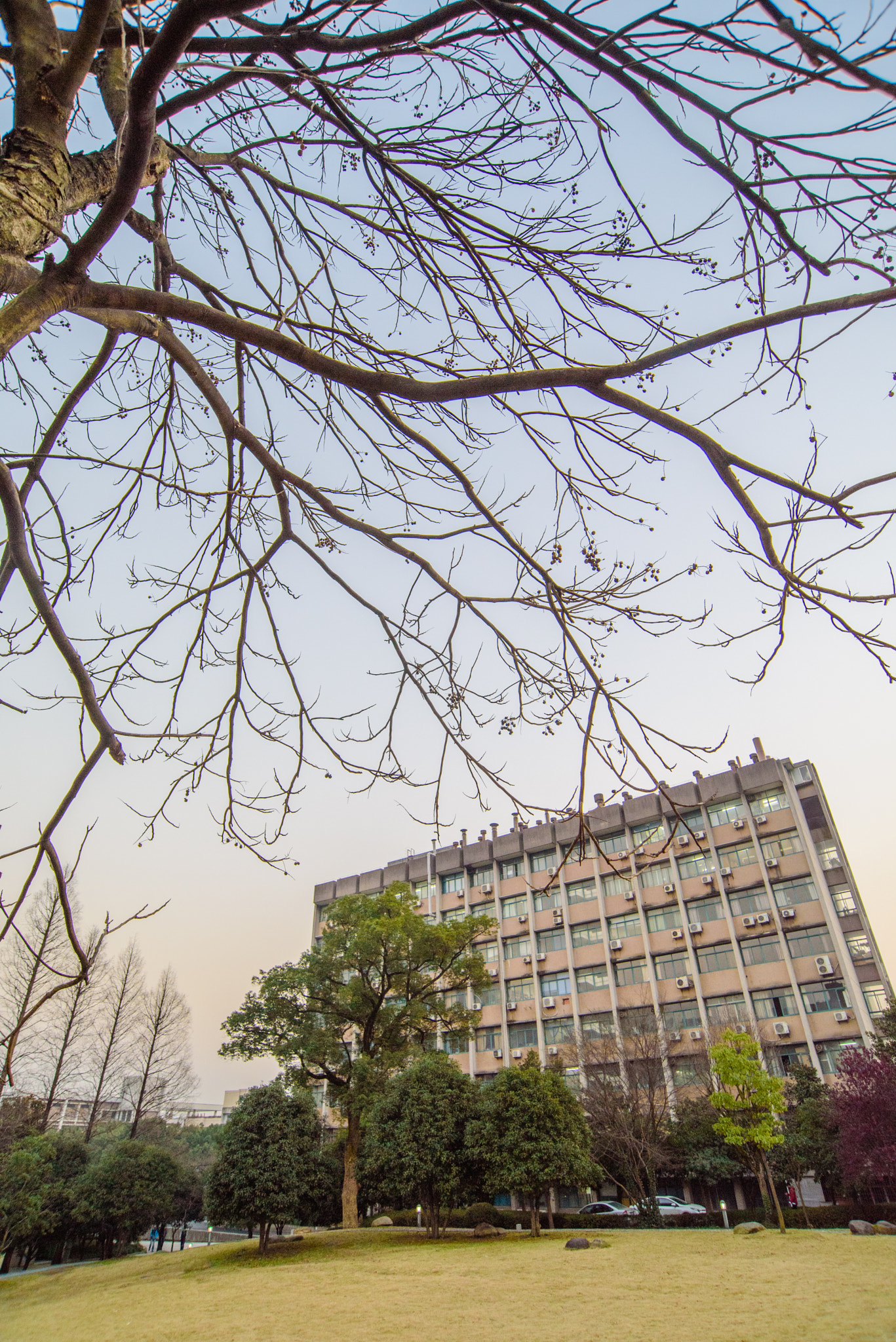 Nikon D750 sample photo. Scenery of my campus photography
