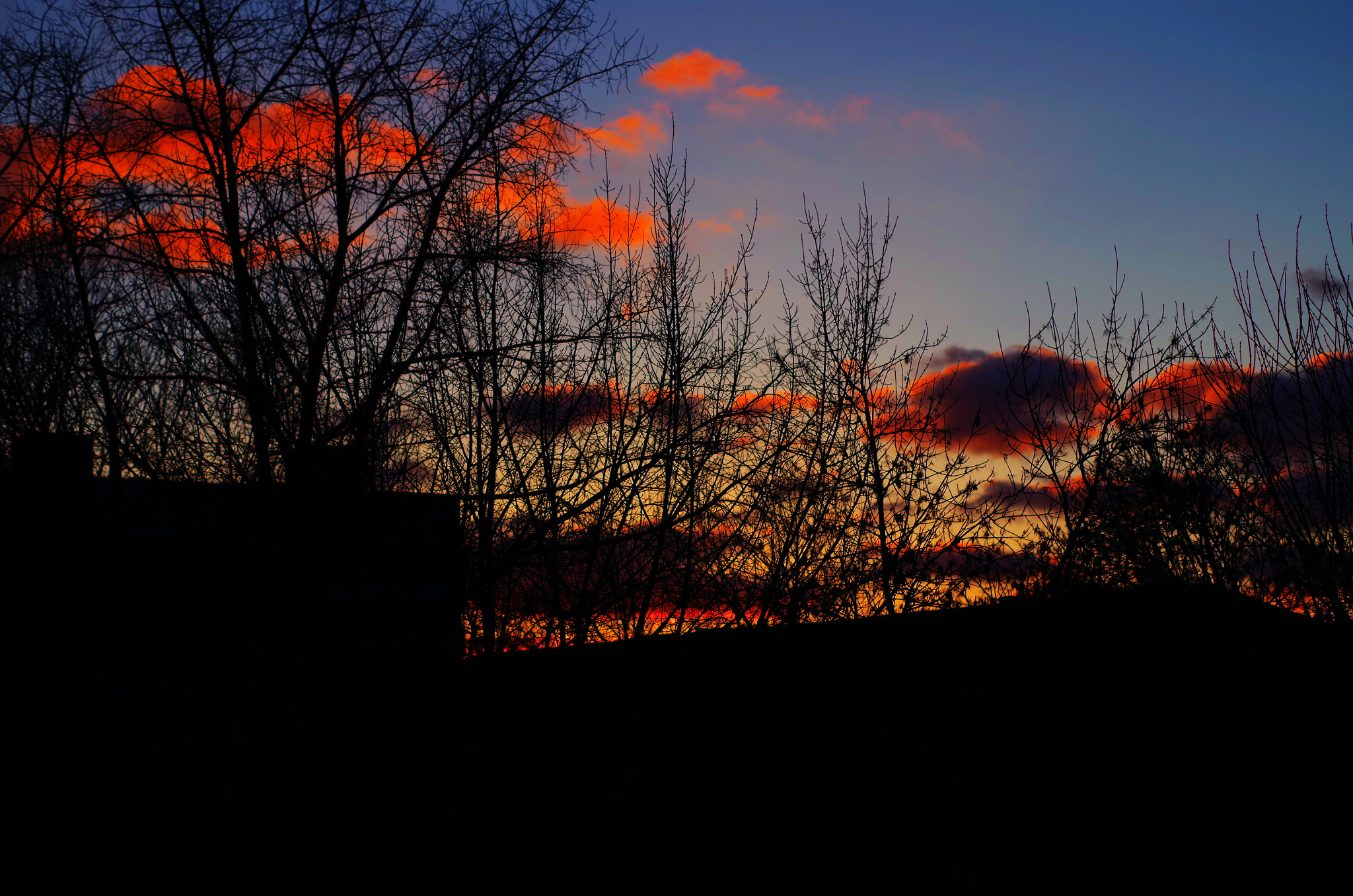 Pentax K-50 sample photo. Evening photography