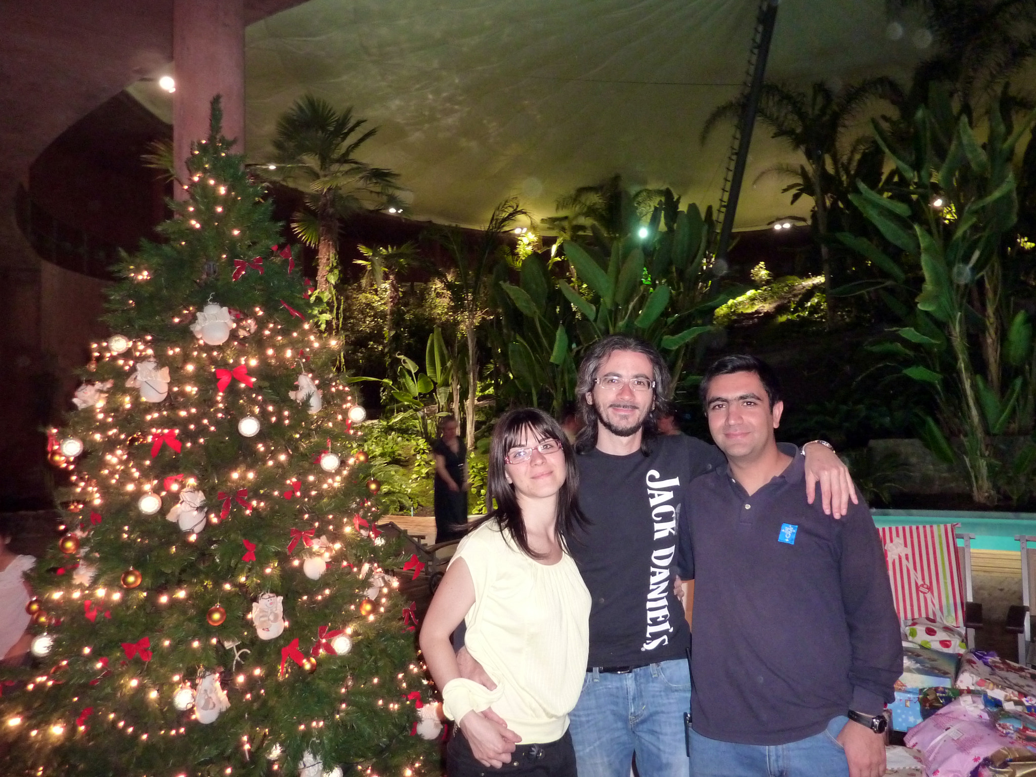 Panasonic DMC-ZS1 sample photo. Christmas at paranal photography