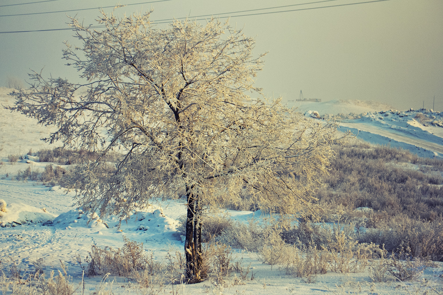 Canon EOS 60D + Sigma 18-50mm F2.8-4.5 DC OS HSM sample photo. #26 photography