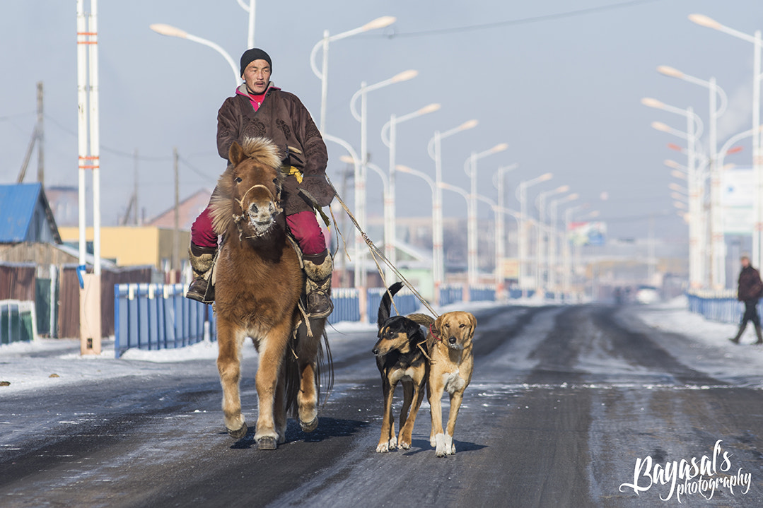 Nikon AF-Nikkor 80-200mm F2.8D ED sample photo. Dog hunters photography