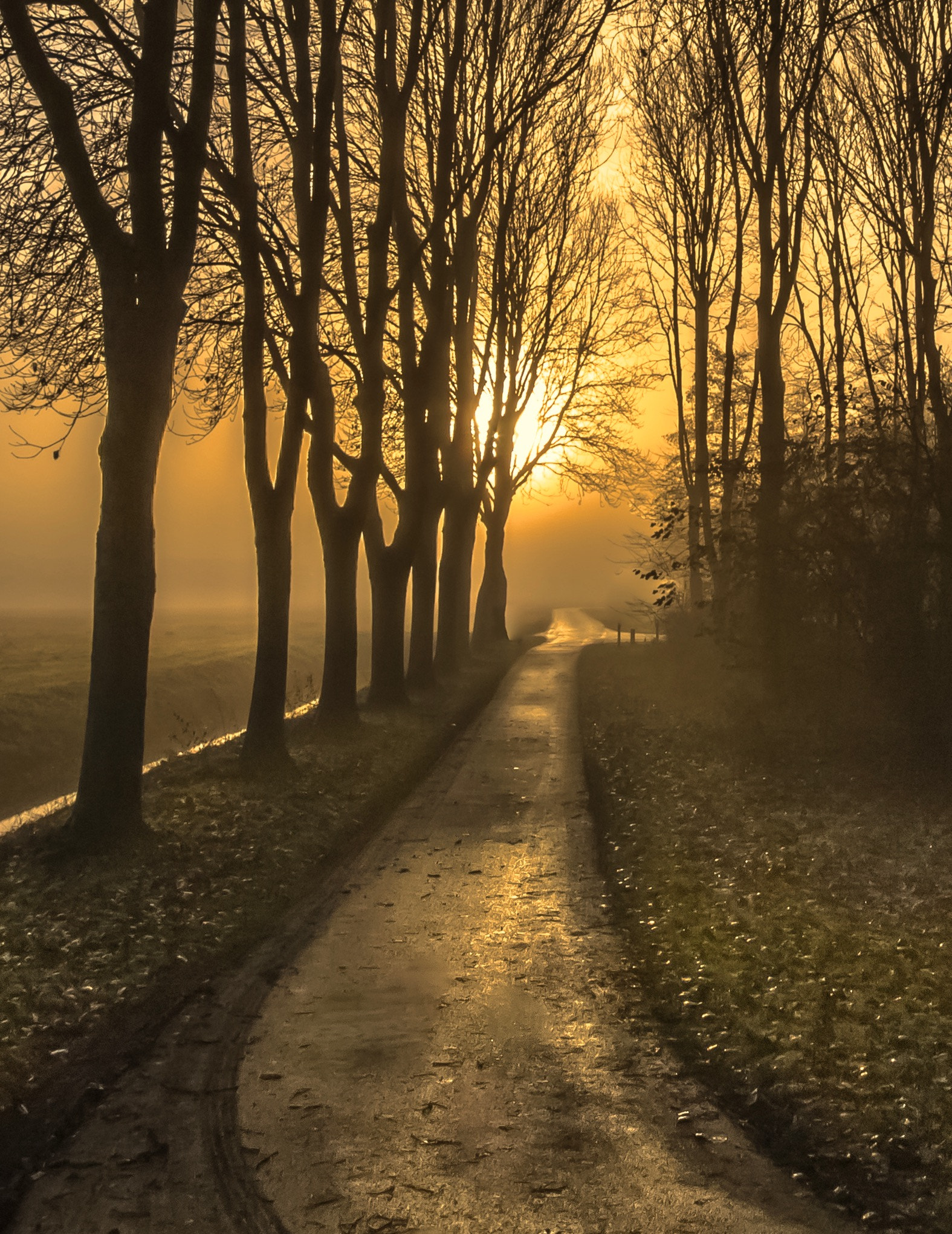 Canon EOS 760D (EOS Rebel T6s / EOS 8000D) sample photo. Foggy sunrise photography