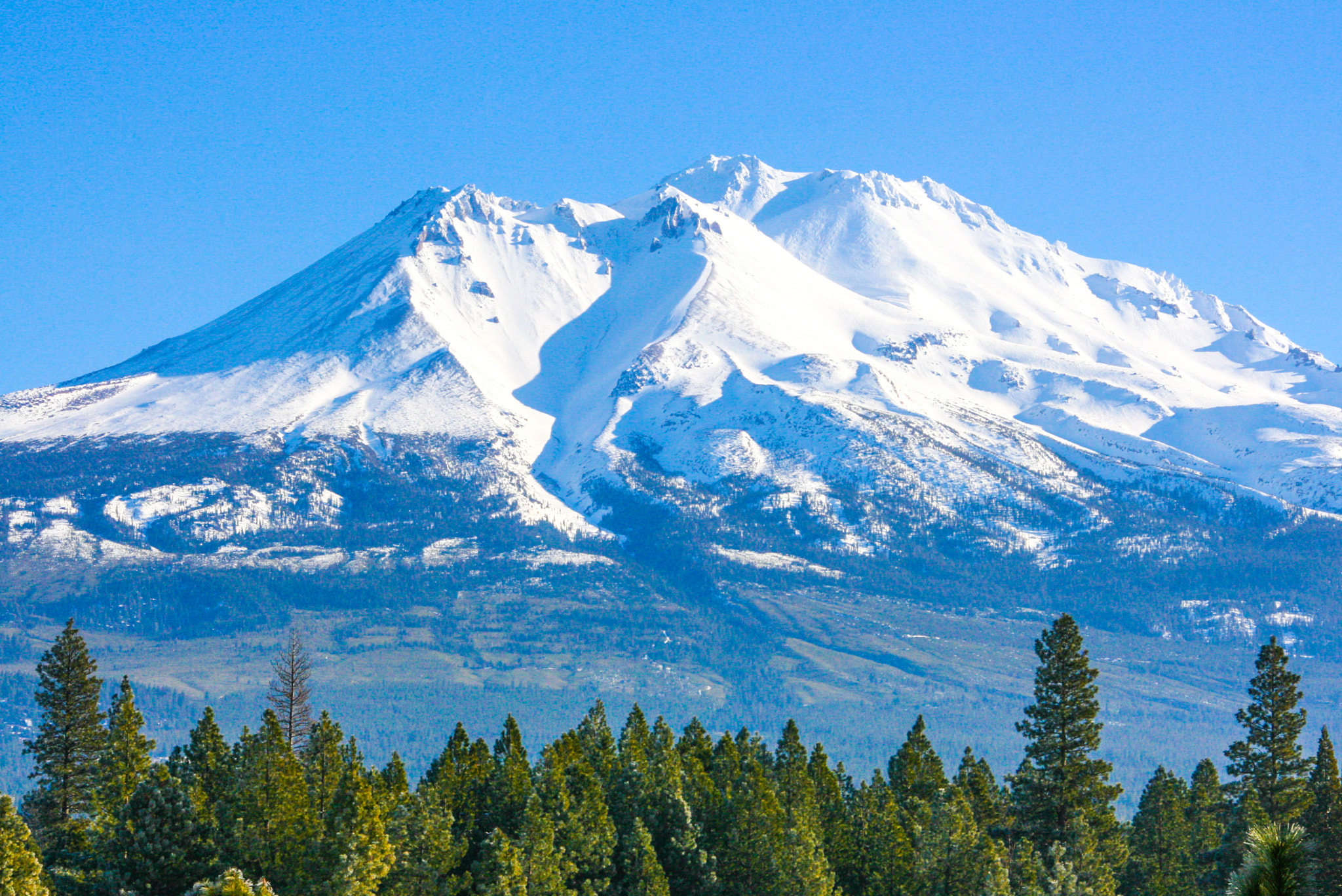 Canon TS-E 90mm F2.8 Tilt-Shift sample photo. Mount shasta photography