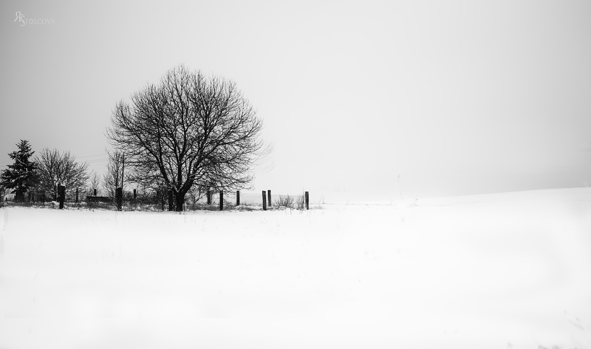 Nikon D750 + Tamron SP 35mm F1.8 Di VC USD sample photo. 16.jpg photography