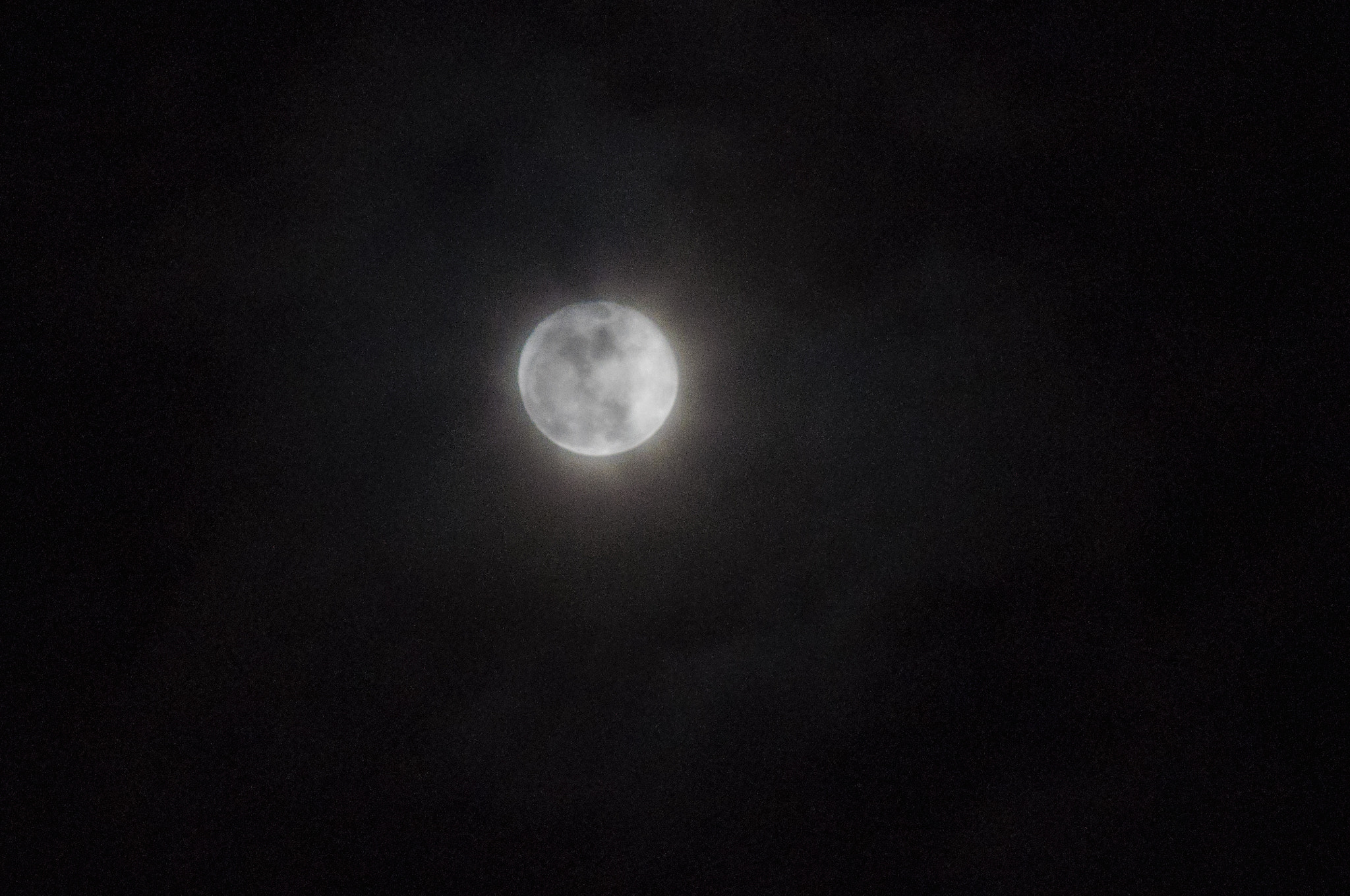 AF Zoom-Nikkor 80-200mm f/2.8 ED sample photo. Luna photography