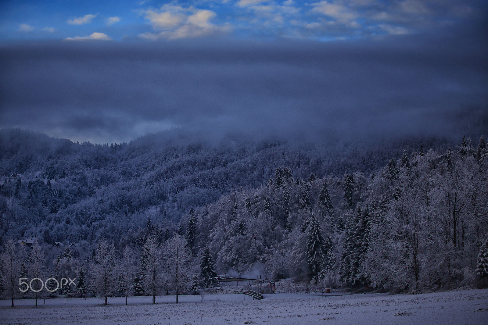 Canon EF 100-400mm F4.5-5.6L IS USM sample photo. Fields of cold photography
