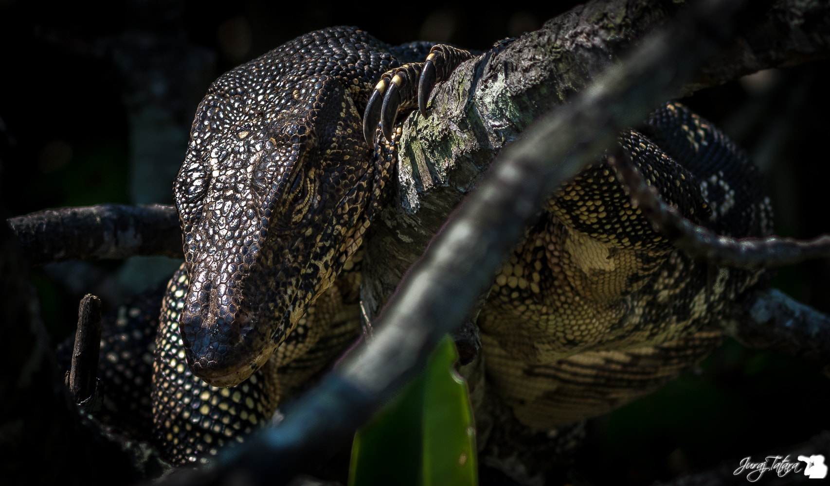 Nikon AF-S Nikkor 70-200mm F4G ED VR sample photo. I am watching you photography