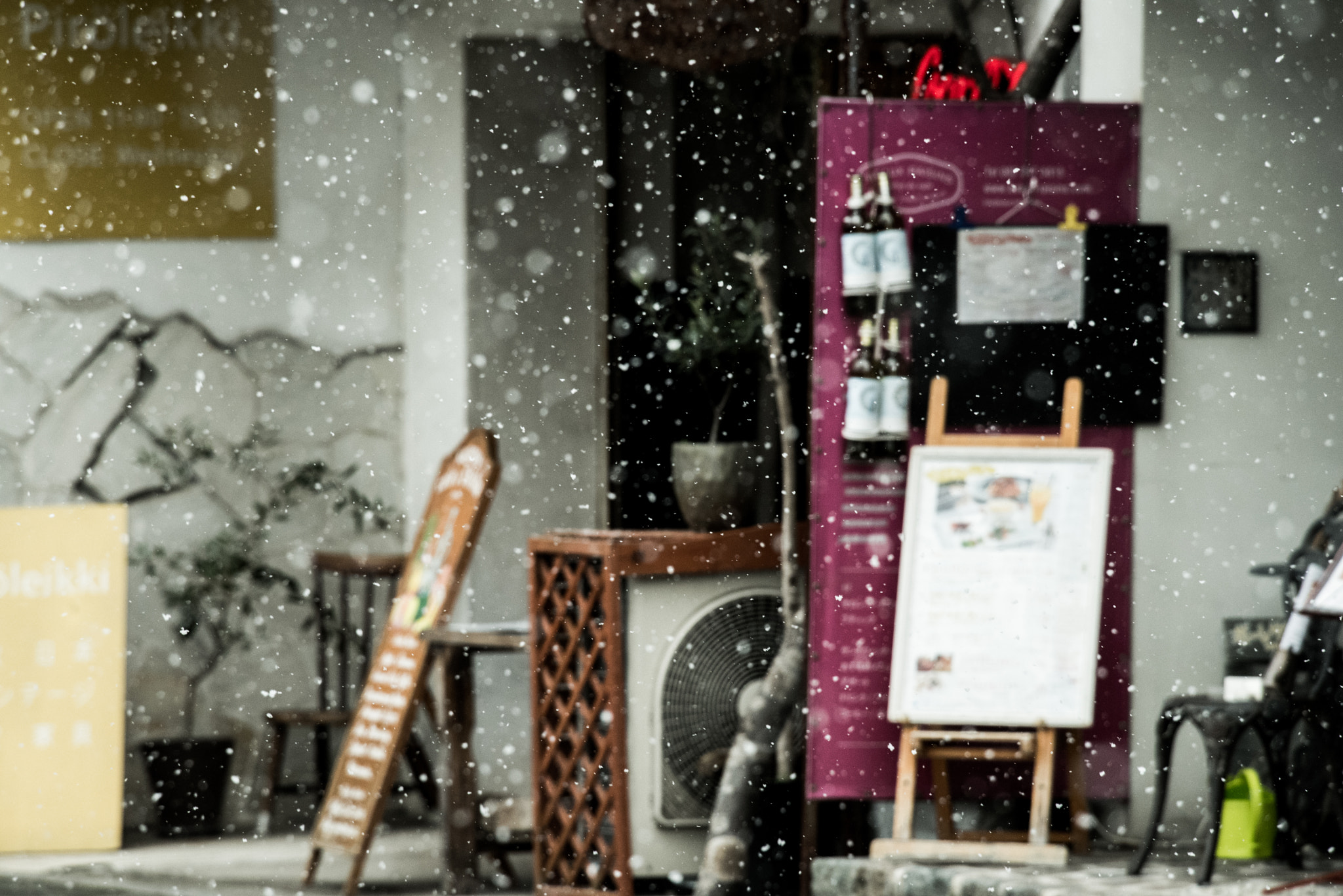 Nikon Nikkor AF-S 300mm F4E PF ED VR sample photo. It's snowing. photography