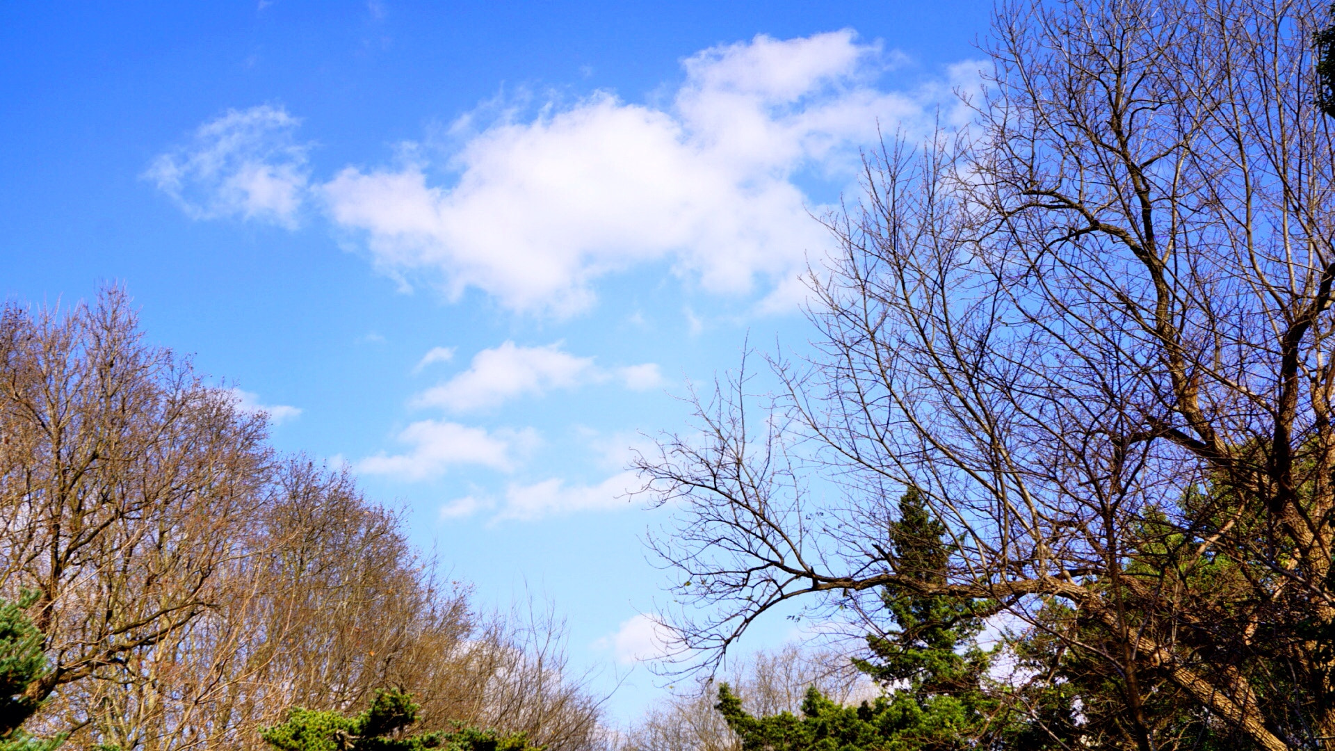 Sony E 30mm F3.5 sample photo. Shanghai good weather today photography