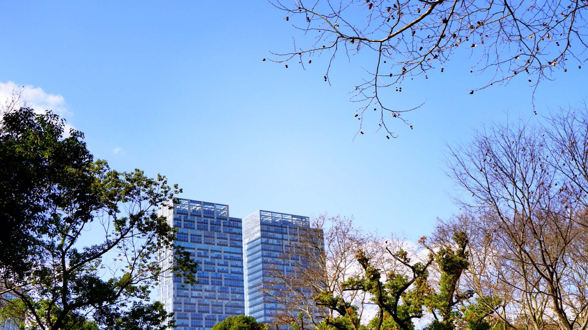 Sony a5100 + Sony E 30mm F3.5 sample photo. Shanghai good weather today photography