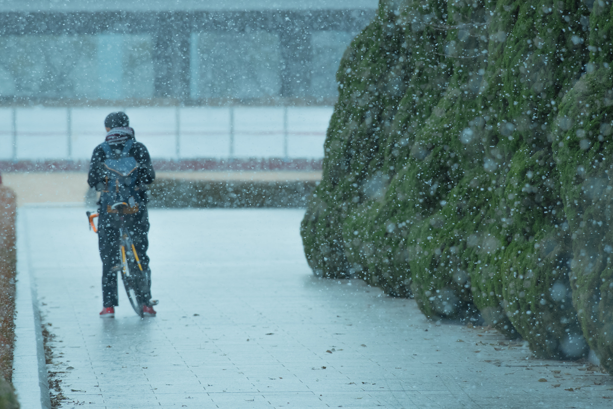 Nikon Nikkor AF-S 300mm F4E PF ED VR sample photo. Cyclist in the snow photography