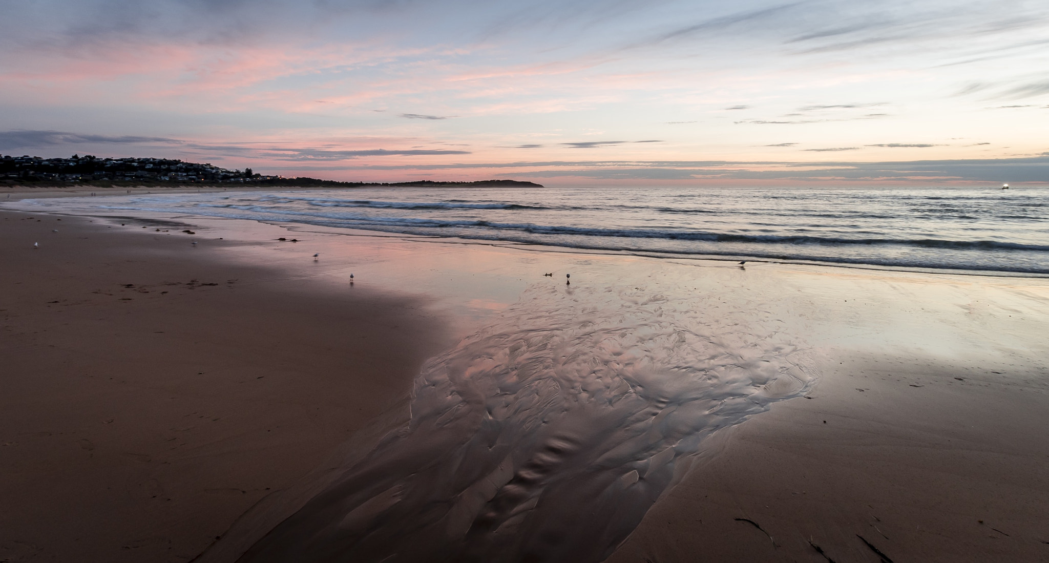 Nikon D810 sample photo. Dee why sunrise colours this morning photography