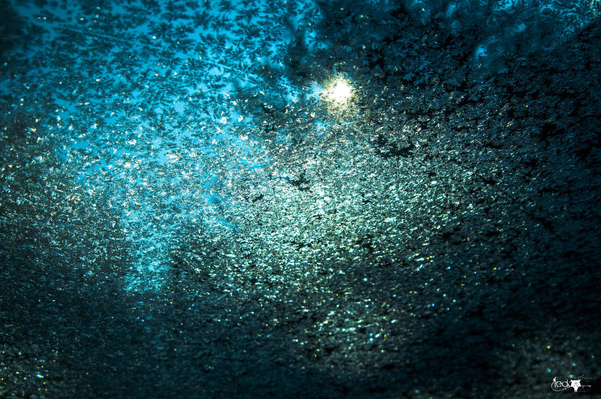 Sigma 28-300mm F3.5-6.3 DG Macro sample photo. Ice on glass photography