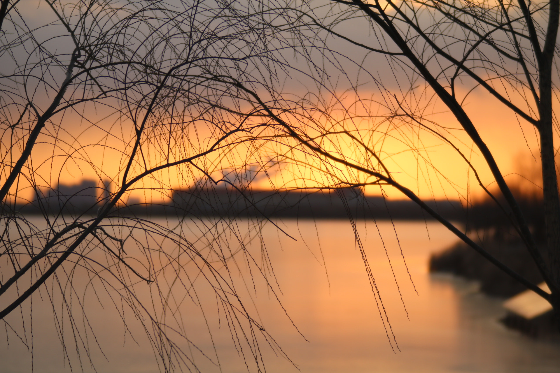 Canon EF 35-80mm f/4-5.6 sample photo