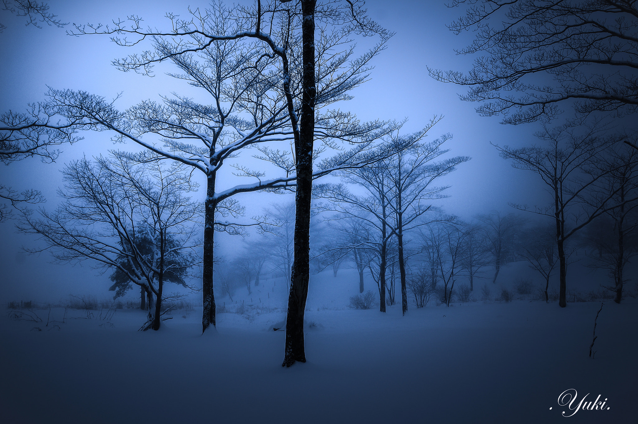 Nikon AF-S Nikkor 17-35mm F2.8D ED-IF sample photo. 内山牧場 冬Ⅶ photography