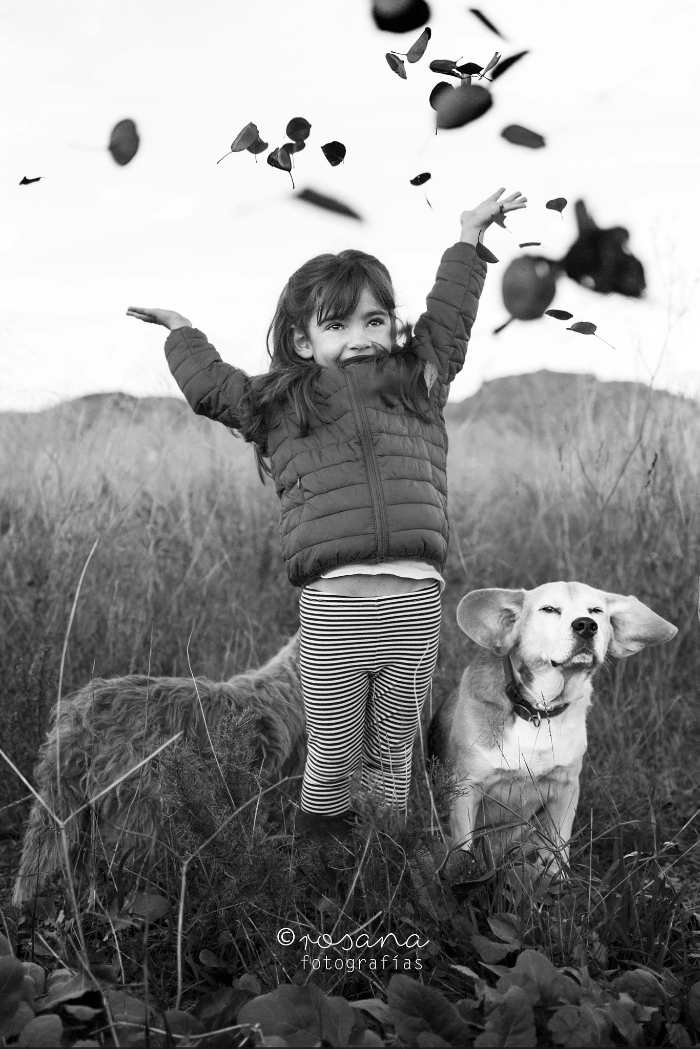 Canon EOS 60D + Canon EF 35mm F2 IS USM sample photo. Autumn celebration photography