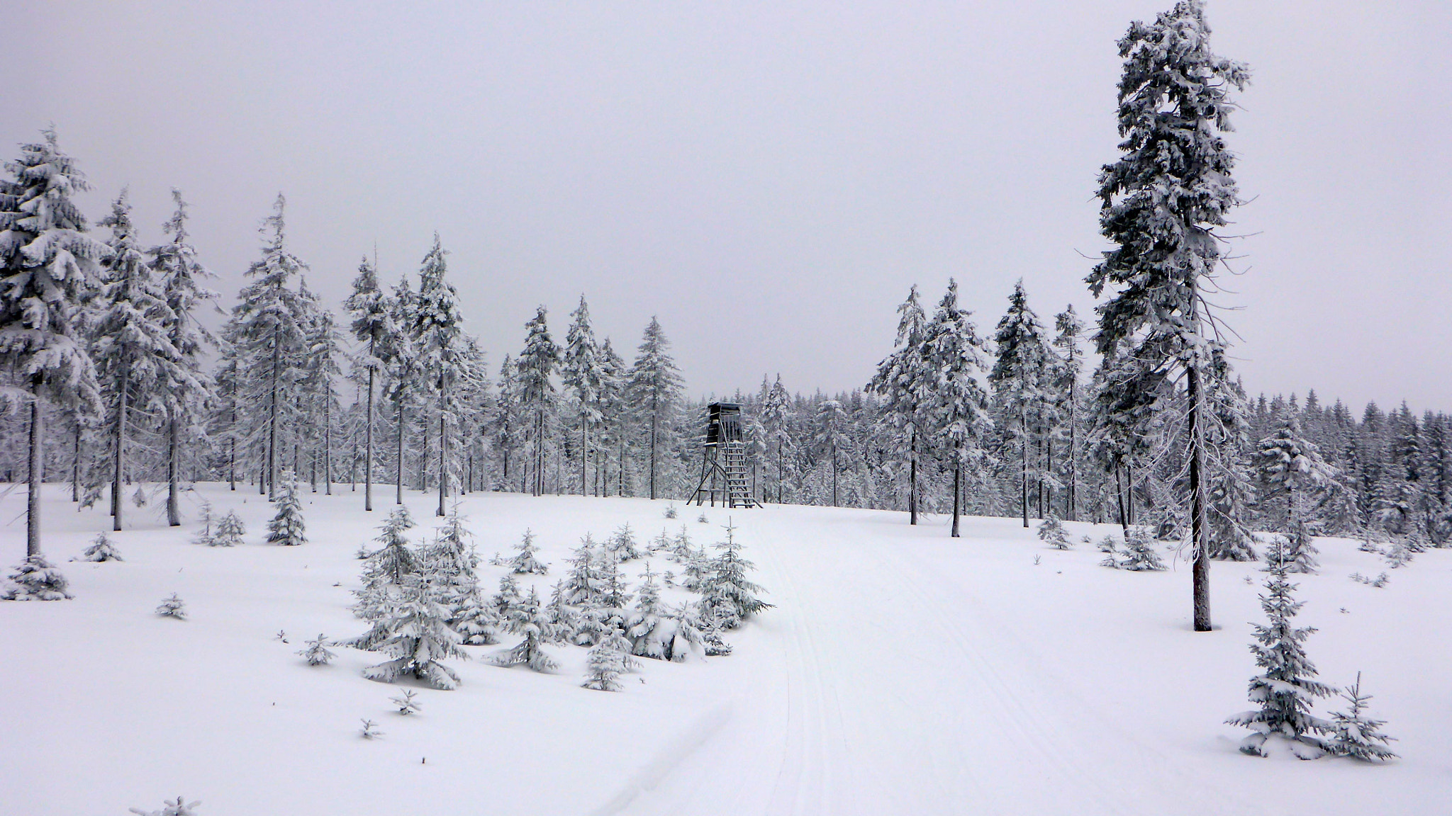 Panasonic Lumix DMC-TS5 (Lumix DMC-FT5) sample photo. Winter wonderland photography