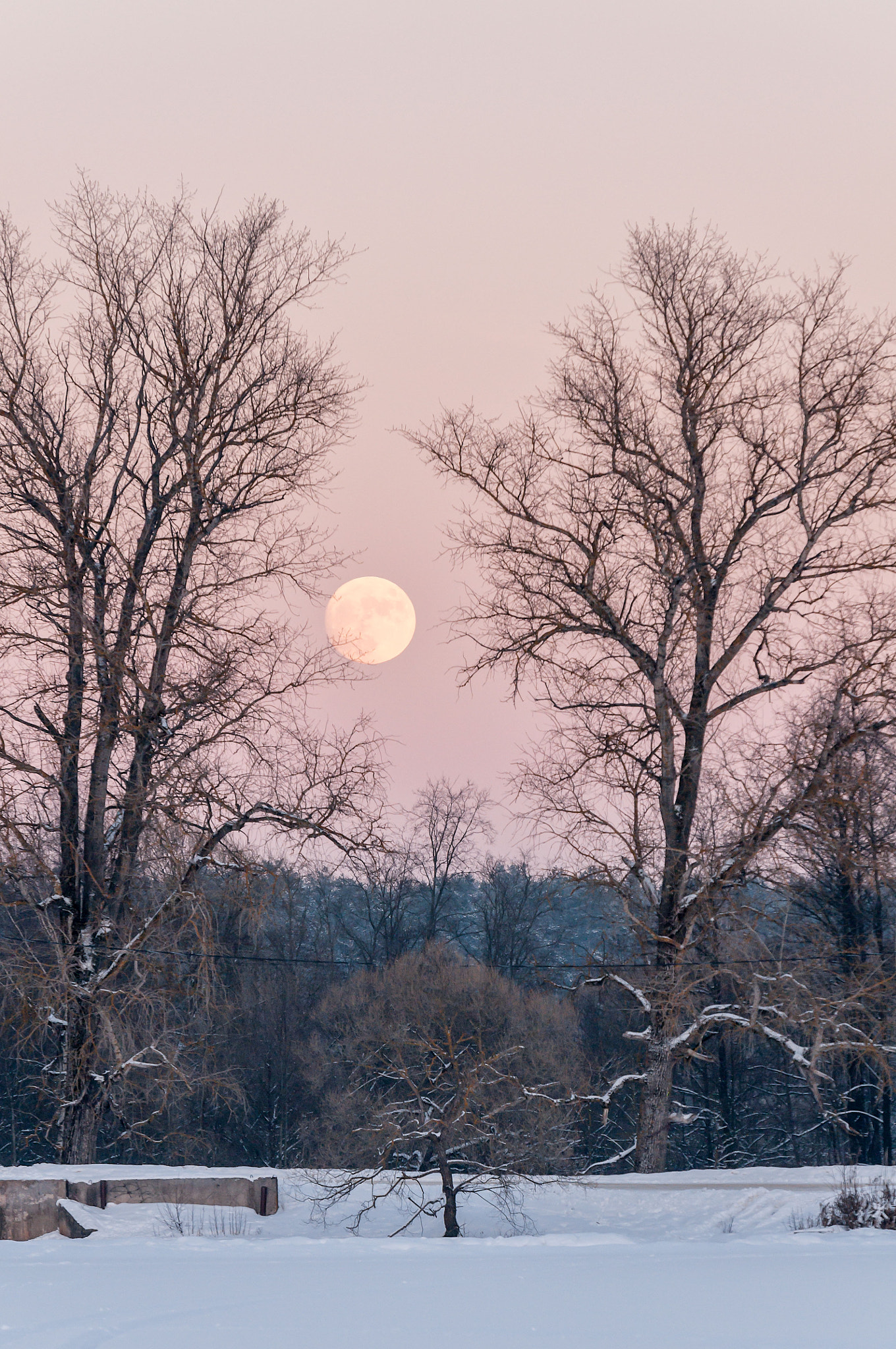 Nikon AF-S Nikkor 70-200mm F2.8G ED VR II sample photo. Fullmoon photography