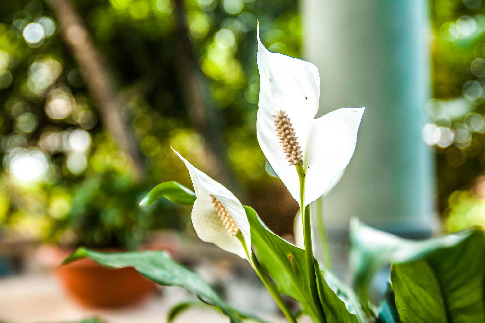 EF28-70mm f/2.8L USM sample photo. Img photography