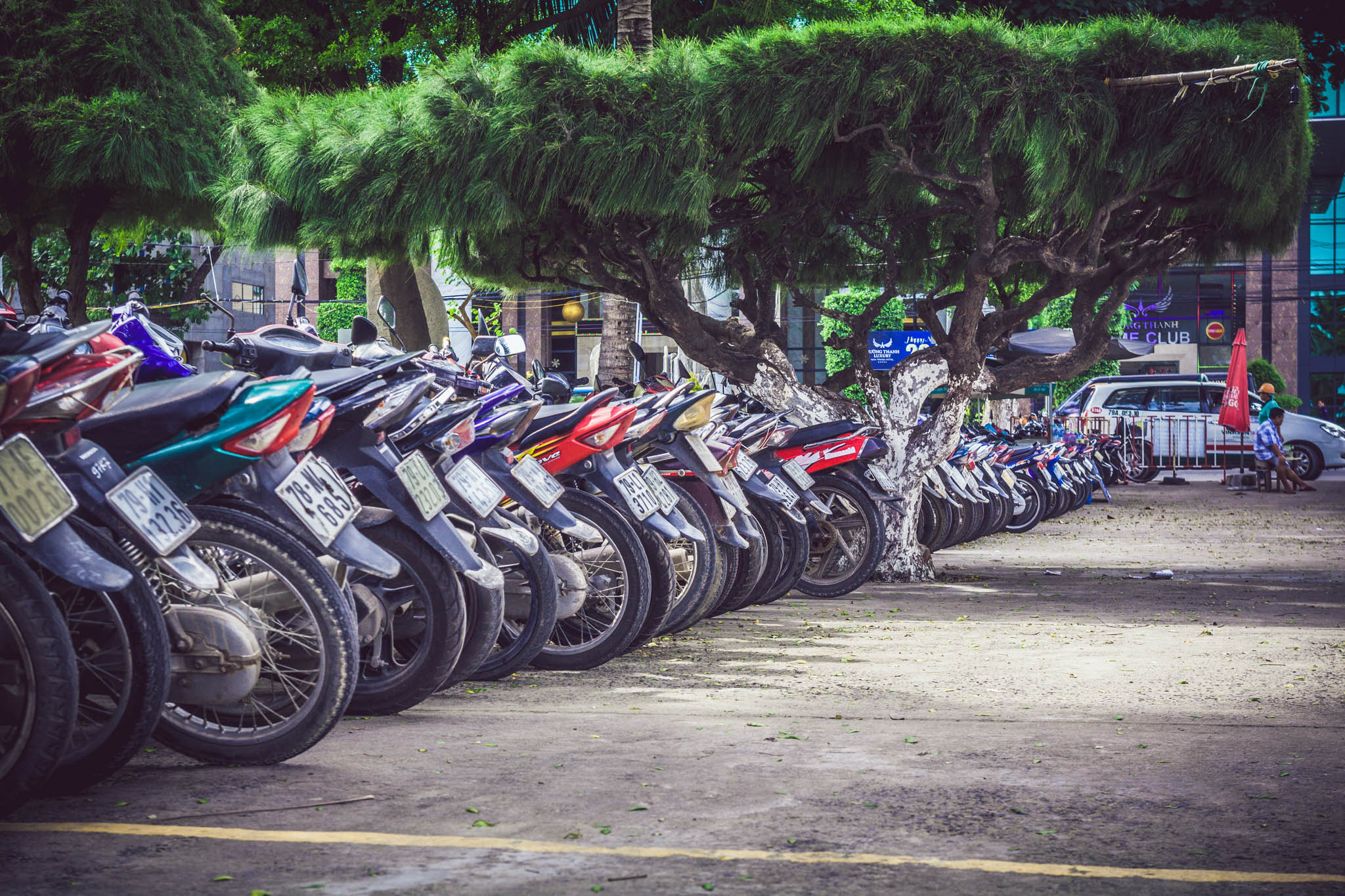EF28-70mm f/2.8L USM sample photo. Img photography