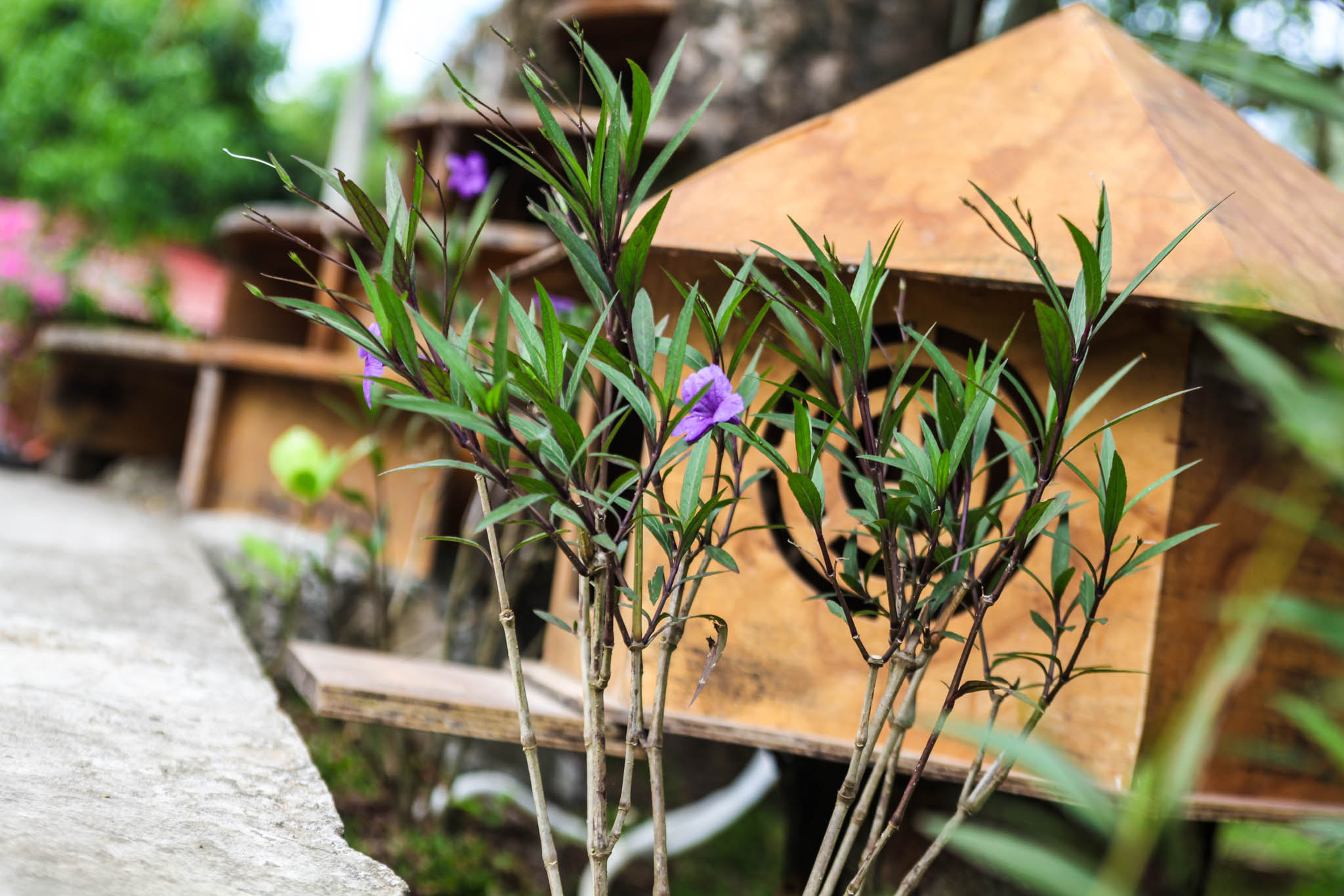 EF28-70mm f/2.8L USM sample photo. Img photography