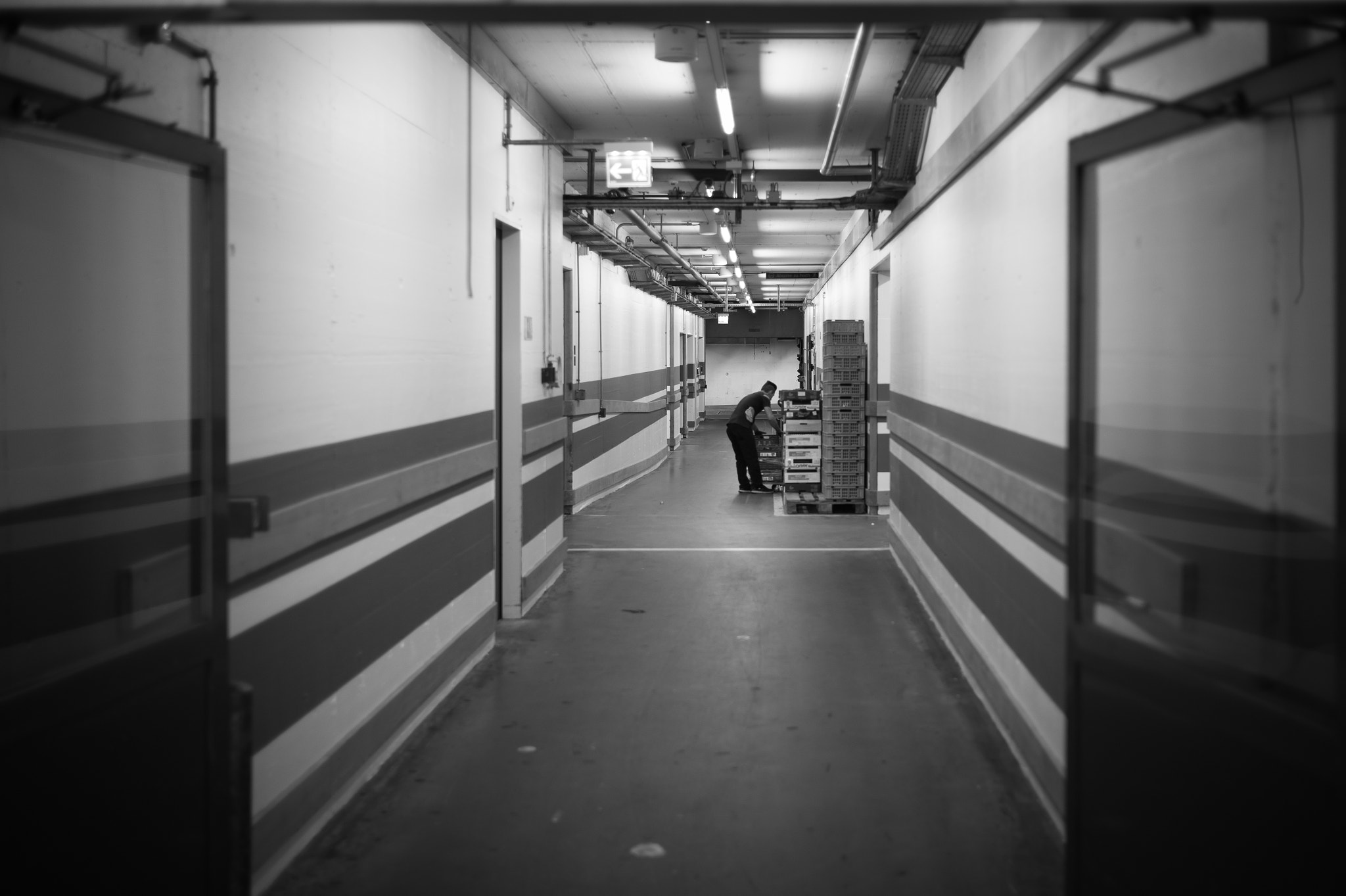 Leica Summilux-M 35mm F1.4 ASPH sample photo. Supermarket tunnel photography