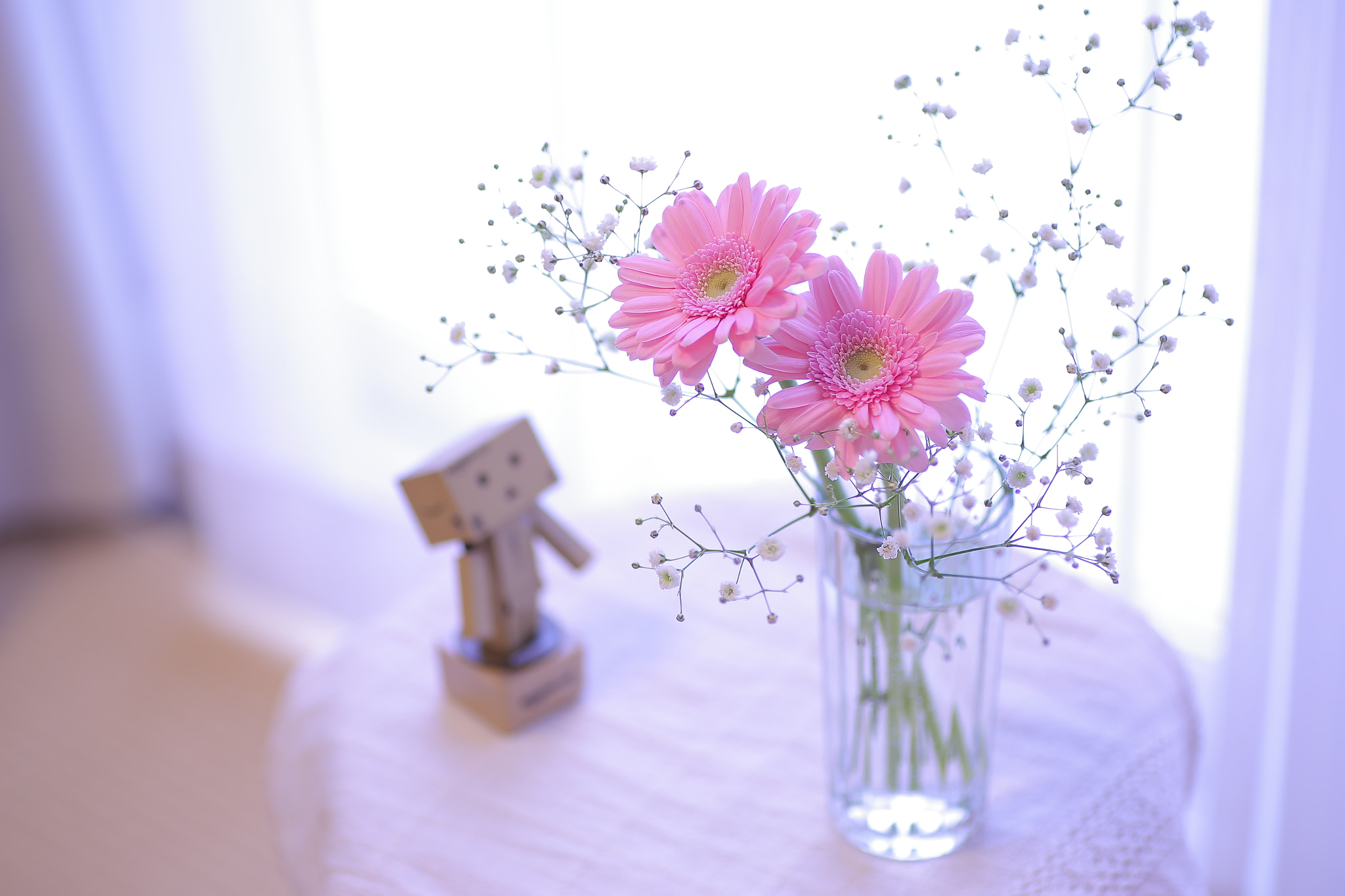 Canon EOS 6D sample photo. Spring color in mid winter… photography