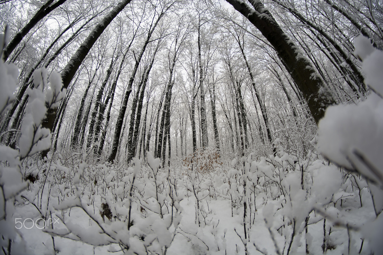 Nikon D7100 sample photo. Snow photography