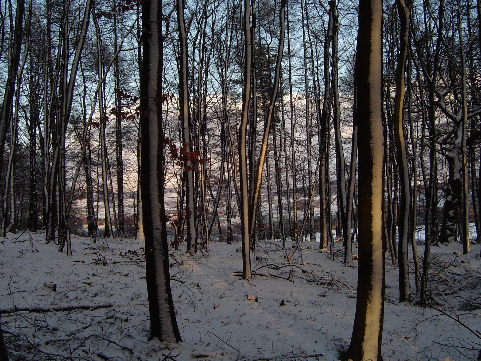 Sony DSC-P72 sample photo. Winter evening photography