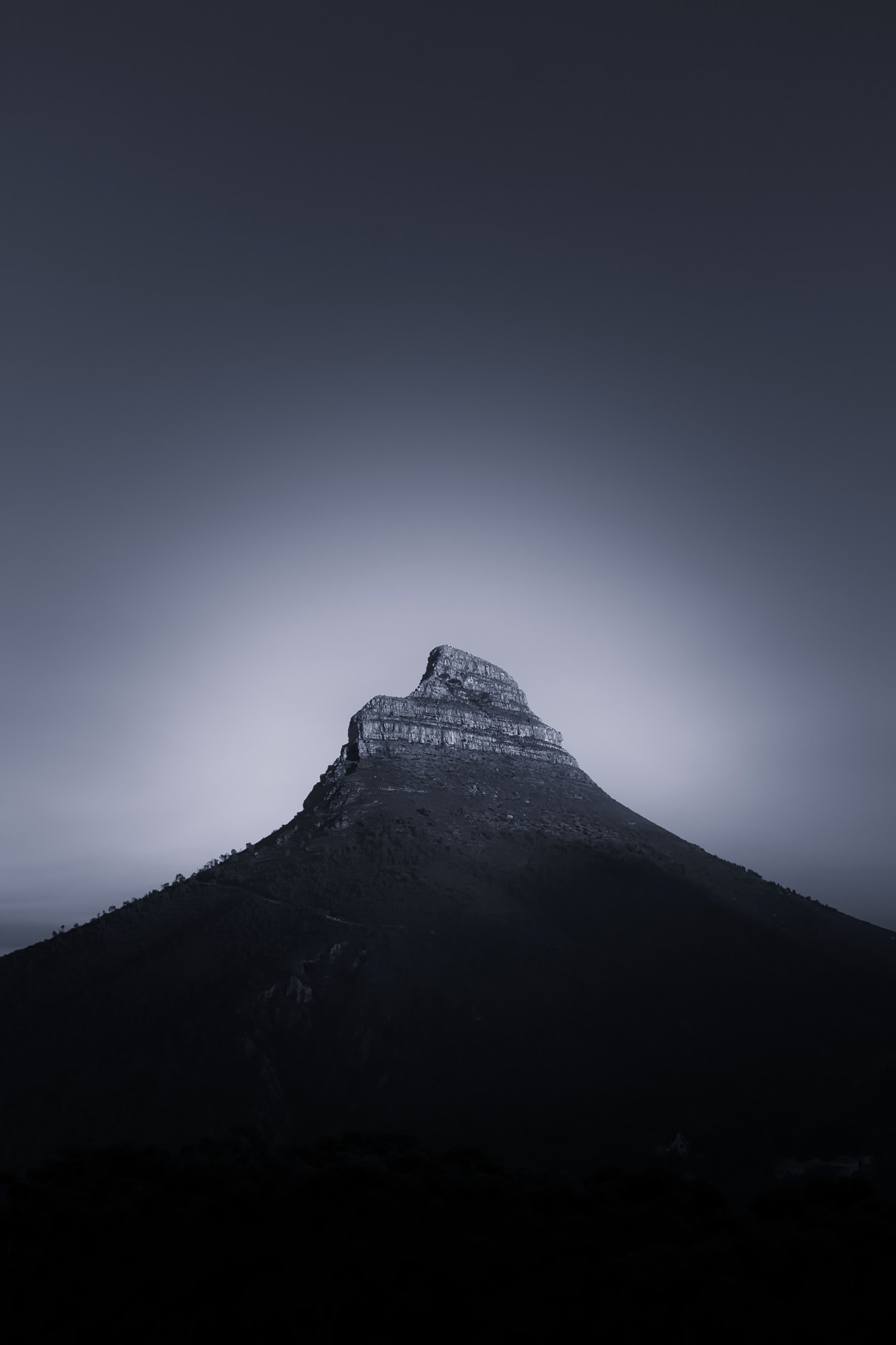 Canon EF-S 10-22mm F3.5-4.5 USM sample photo. Abstract of lion's head photography