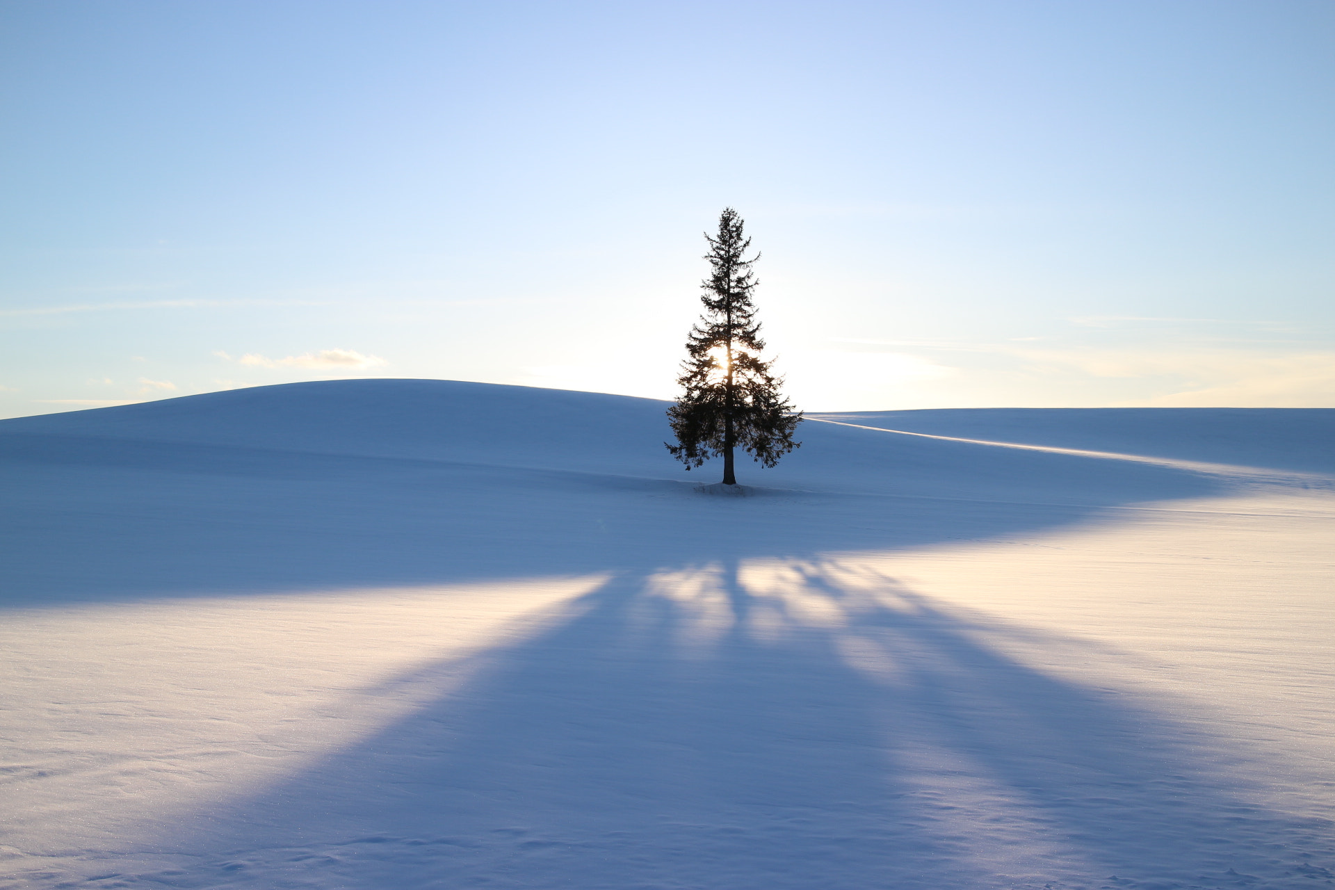 Canon EOS M2 + Canon EF-M 22mm F2 STM sample photo. 何度も何度も撮るのは… photography