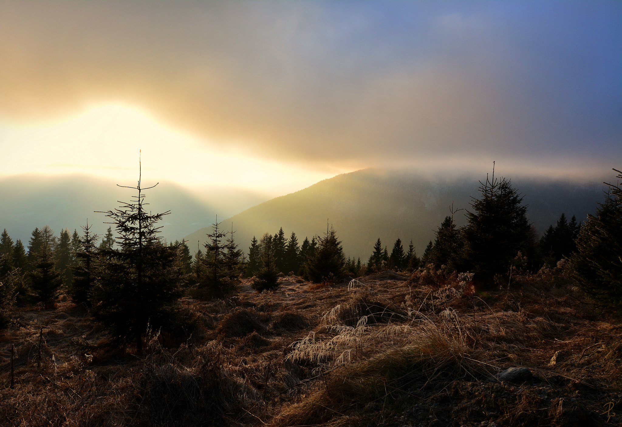 Nikon AF-S Nikkor 14-24mm F2.8G ED sample photo. The essence of the moment photography