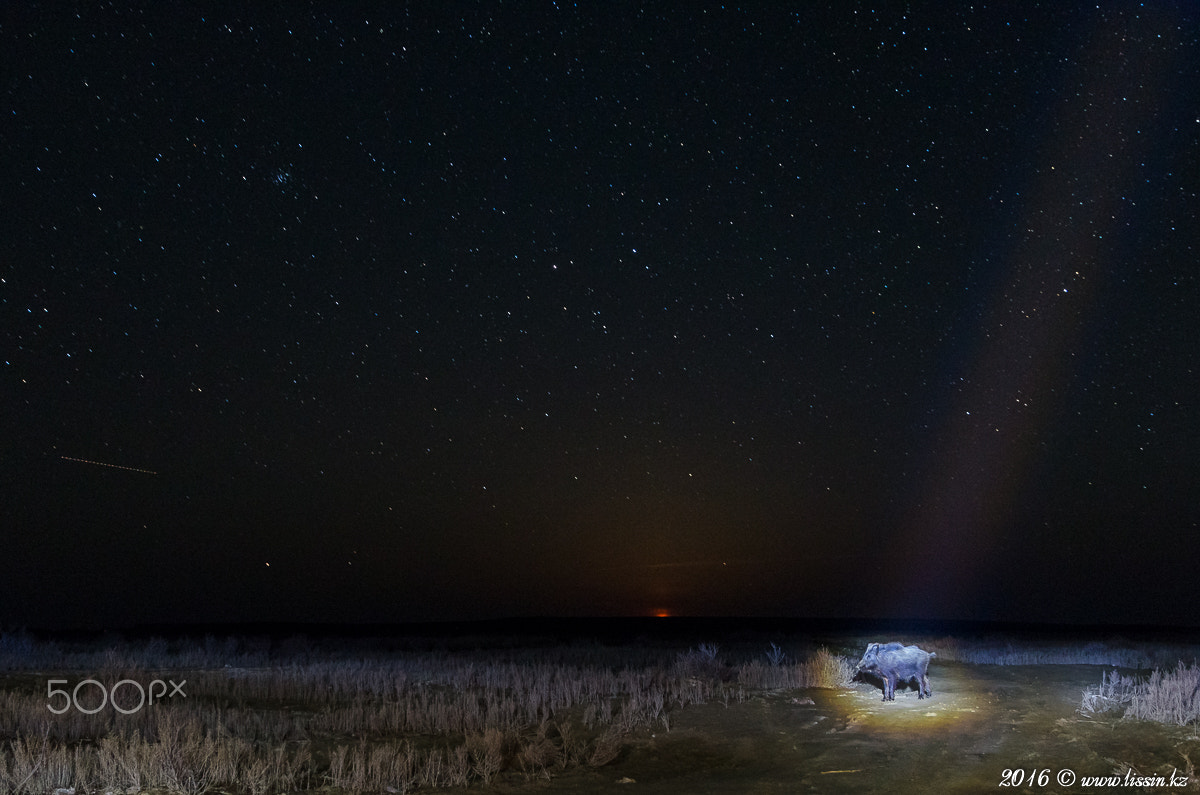 Nikon D7000 + Sigma 17-70mm F2.8-4 DC Macro OS HSM sample photo. The aral sea in the night photography