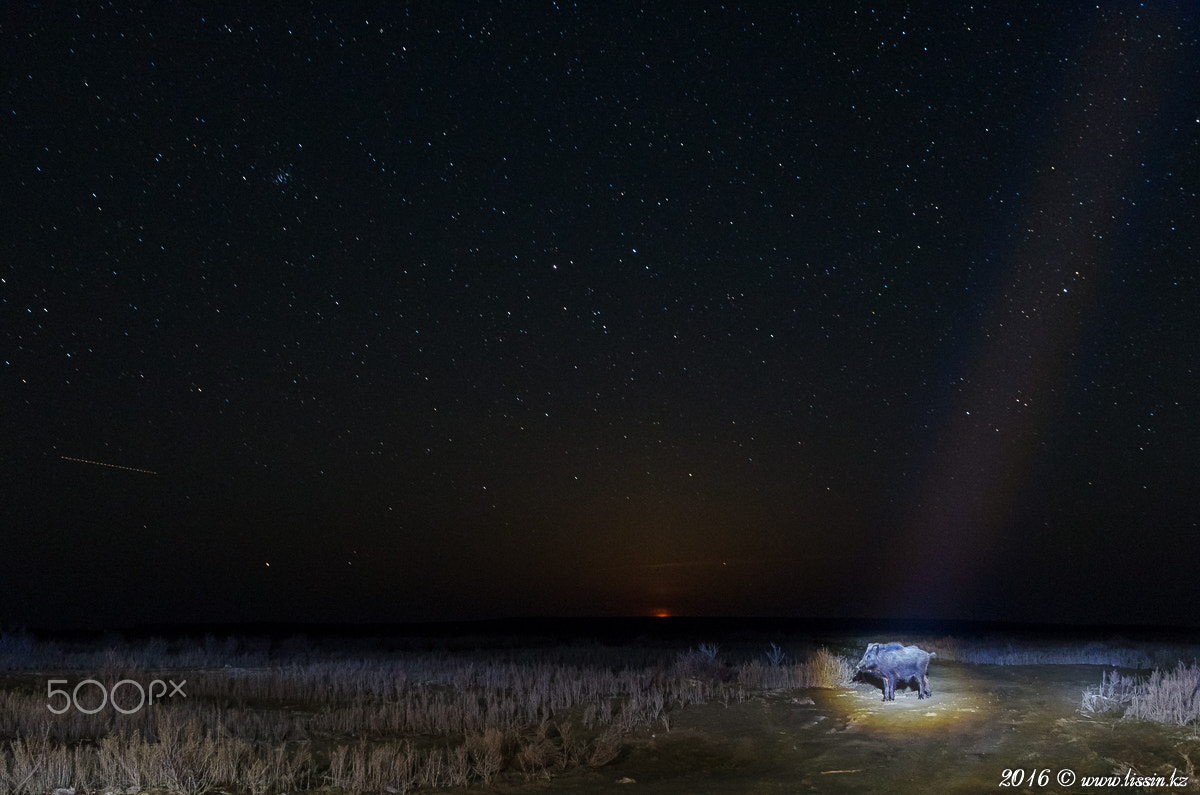 Sigma 17-70mm F2.8-4 DC Macro OS HSM sample photo. The aral sea in the night photography