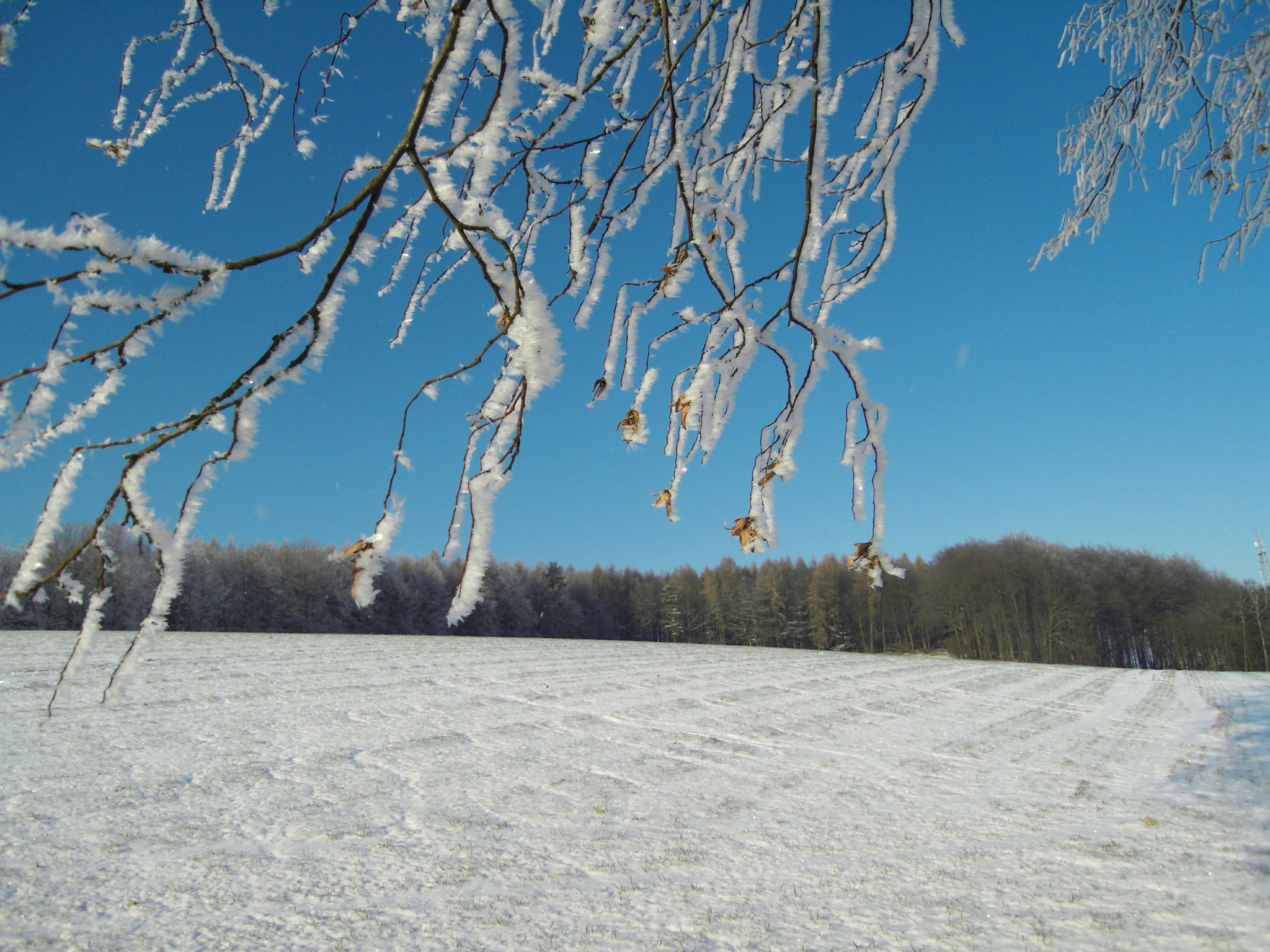 Samsung NV24HD, VLUU NV24HD, LANDIAO NV106HD sample photo. Winter in germany photography