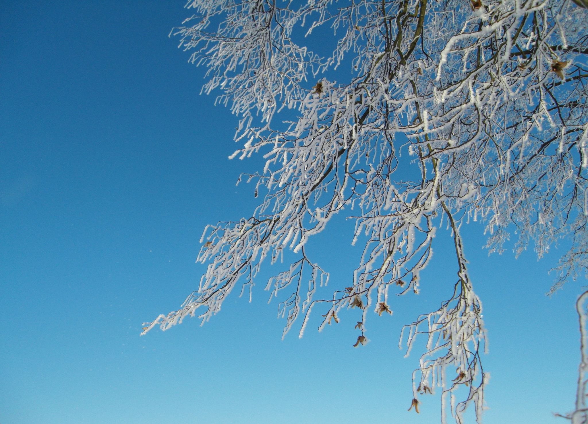 Samsung NV24HD, VLUU NV24HD, LANDIAO NV106HD sample photo. Winter in germany photography