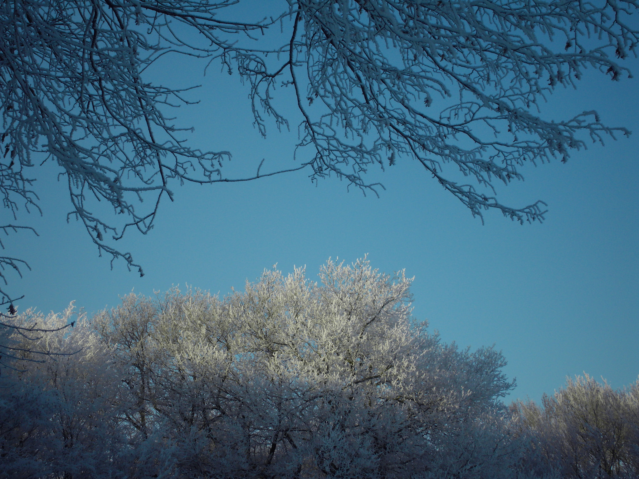 Samsung NV24HD, VLUU NV24HD, LANDIAO NV106HD sample photo. Winter in germany photography