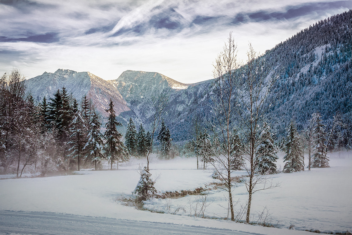 Sigma 18-200mm f/3.5-6.3 DC OS sample photo. Winterday photography